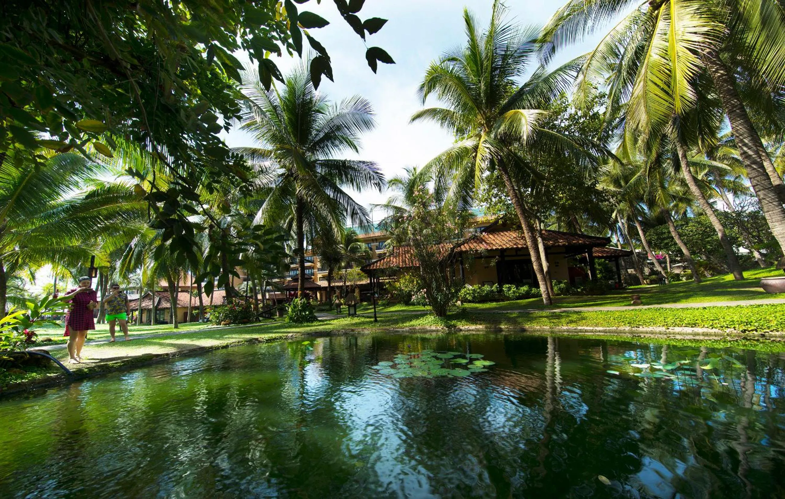 Garden in Seahorse Resort & Spa