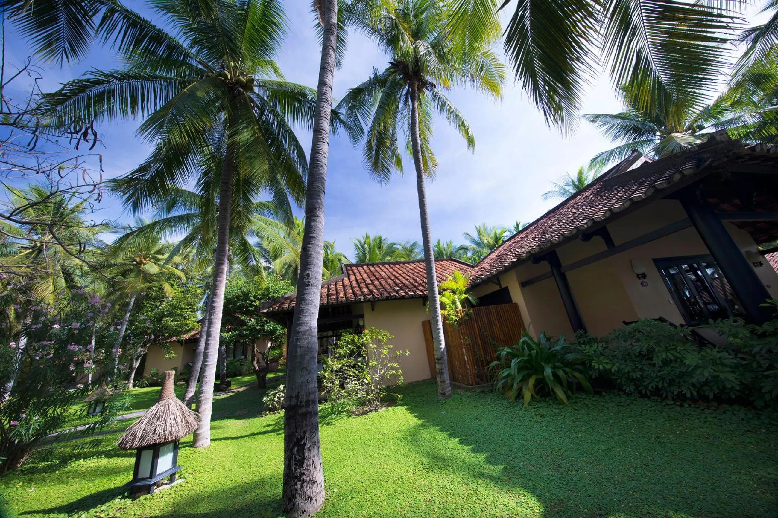 Garden in Seahorse Resort & Spa