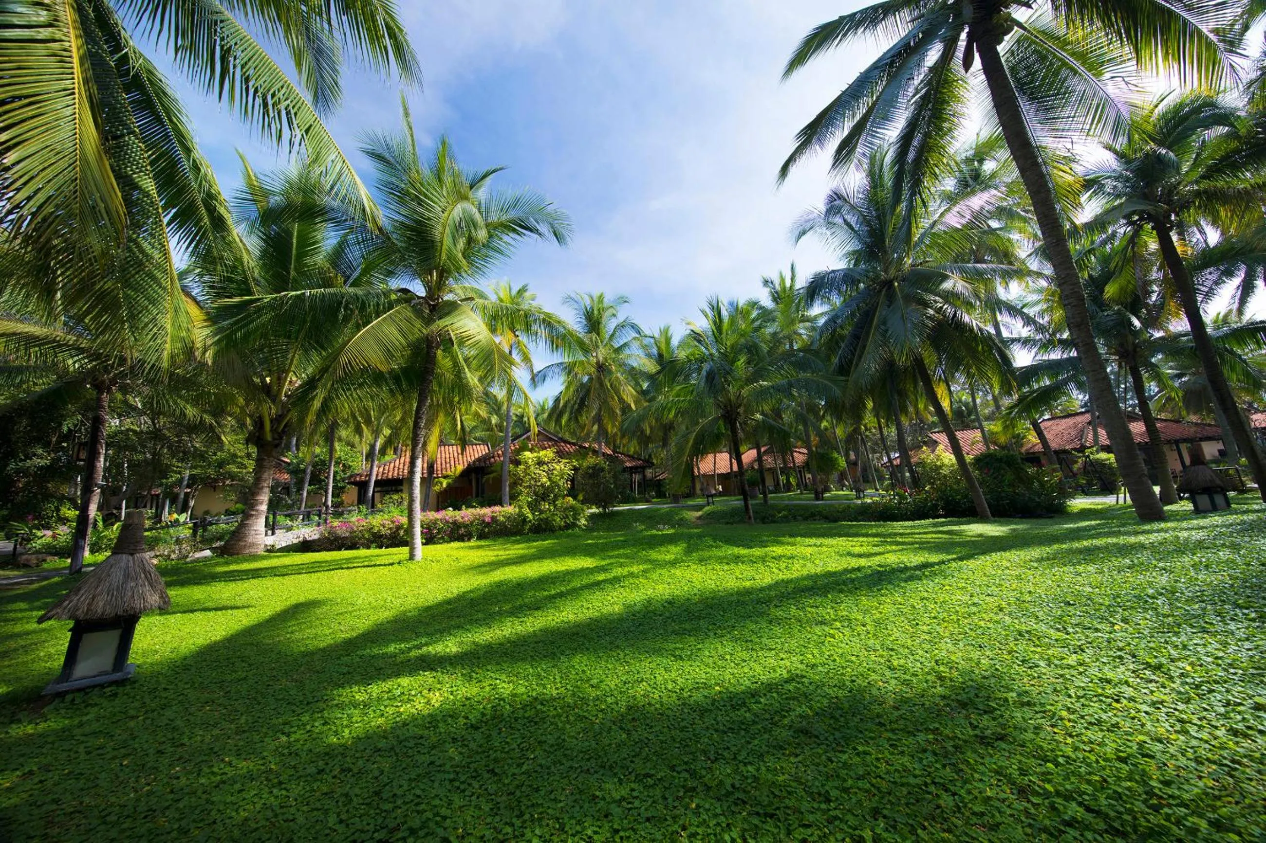 Garden in Seahorse Resort & Spa