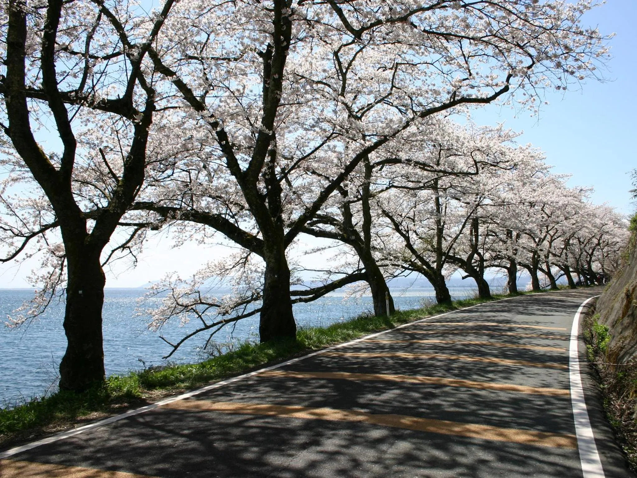 Natural landscape in Lake Biwa Otsu Prince Hotel