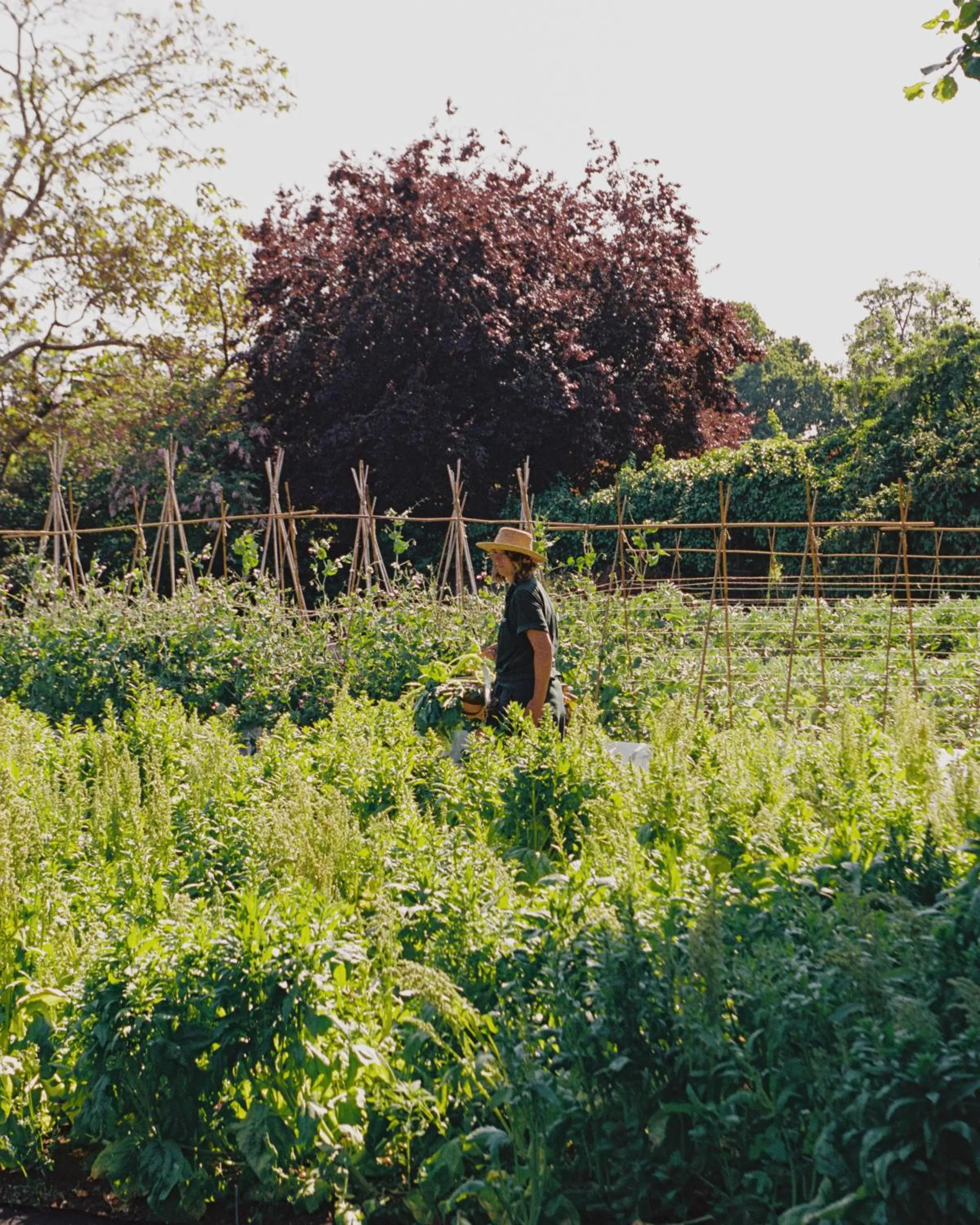 Garden in Le Manoir aux Quat'Saisons, A Belmond Hotel, Oxfordshire