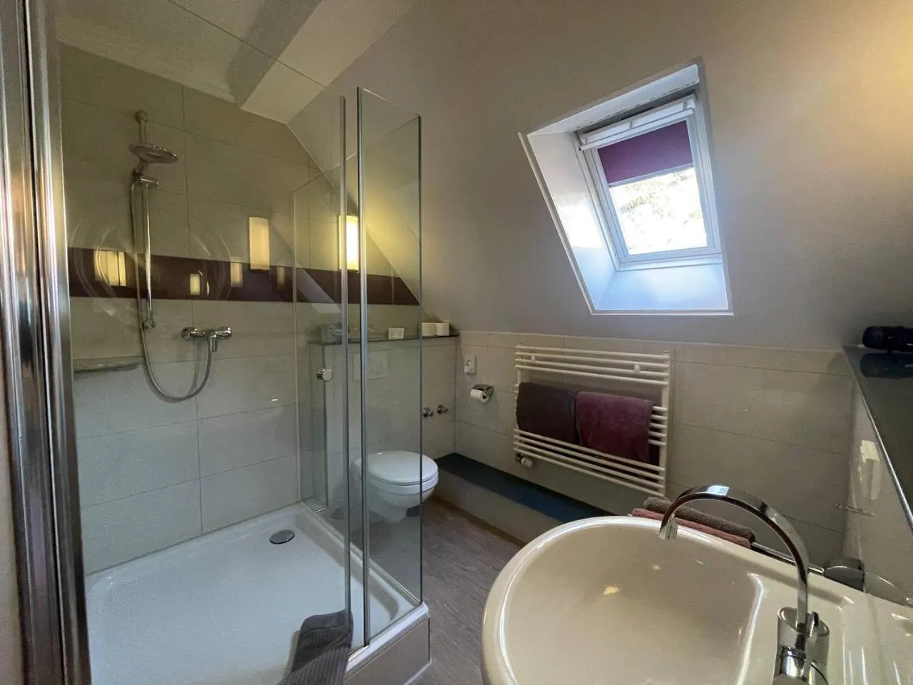 Shower in Hotel Deichvoigt