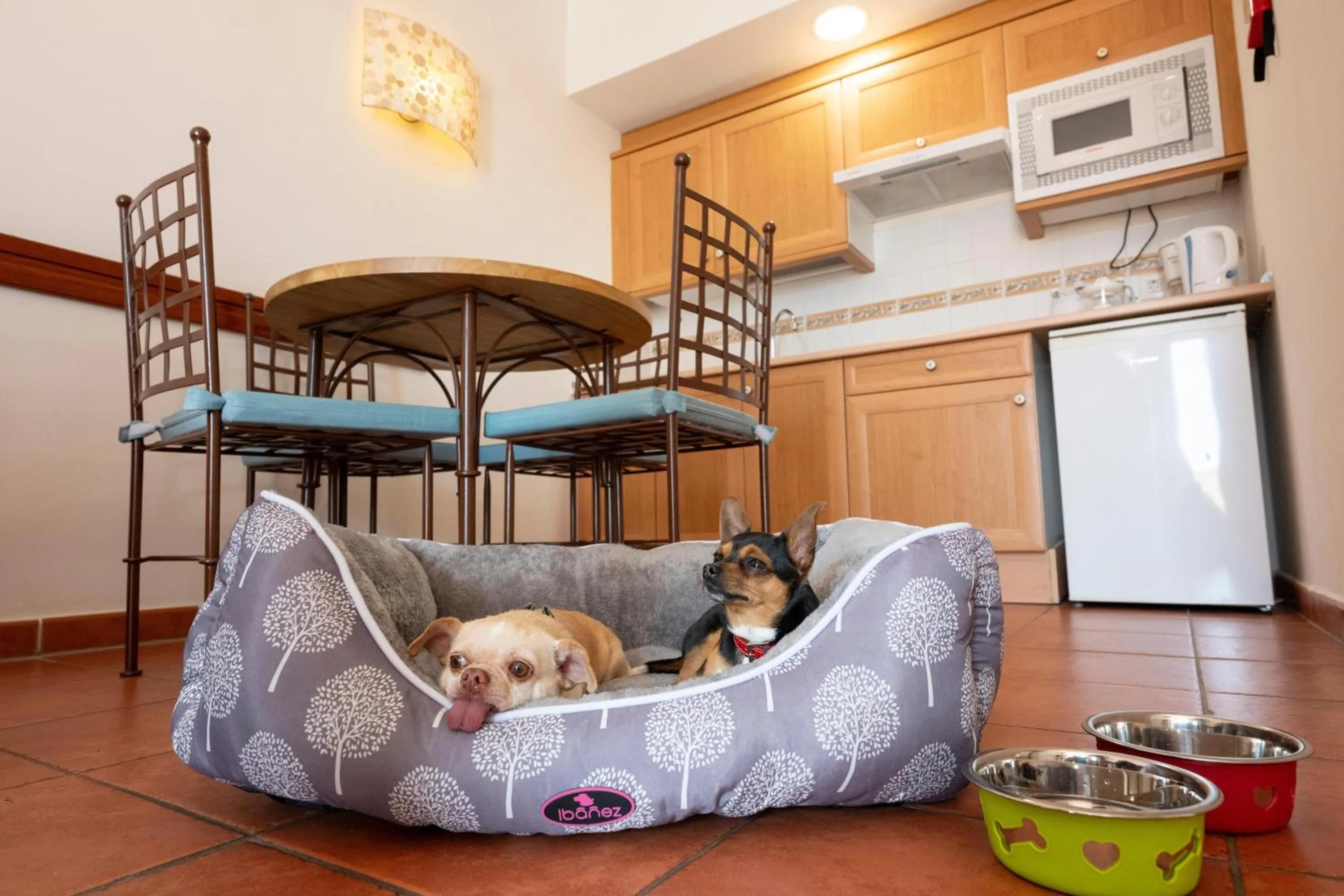 Lobby or reception in GF Isabel