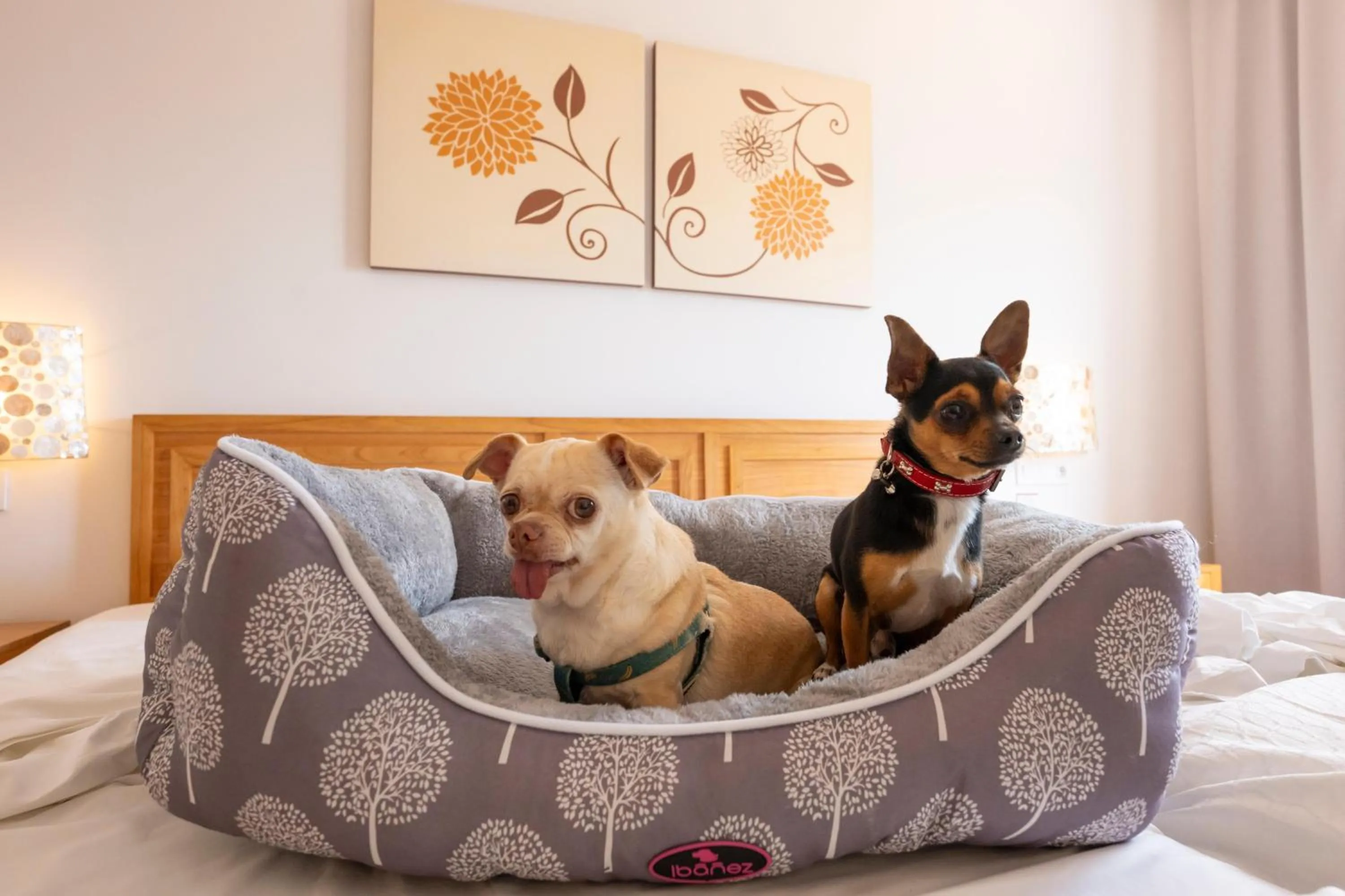 Lobby or reception in GF Isabel