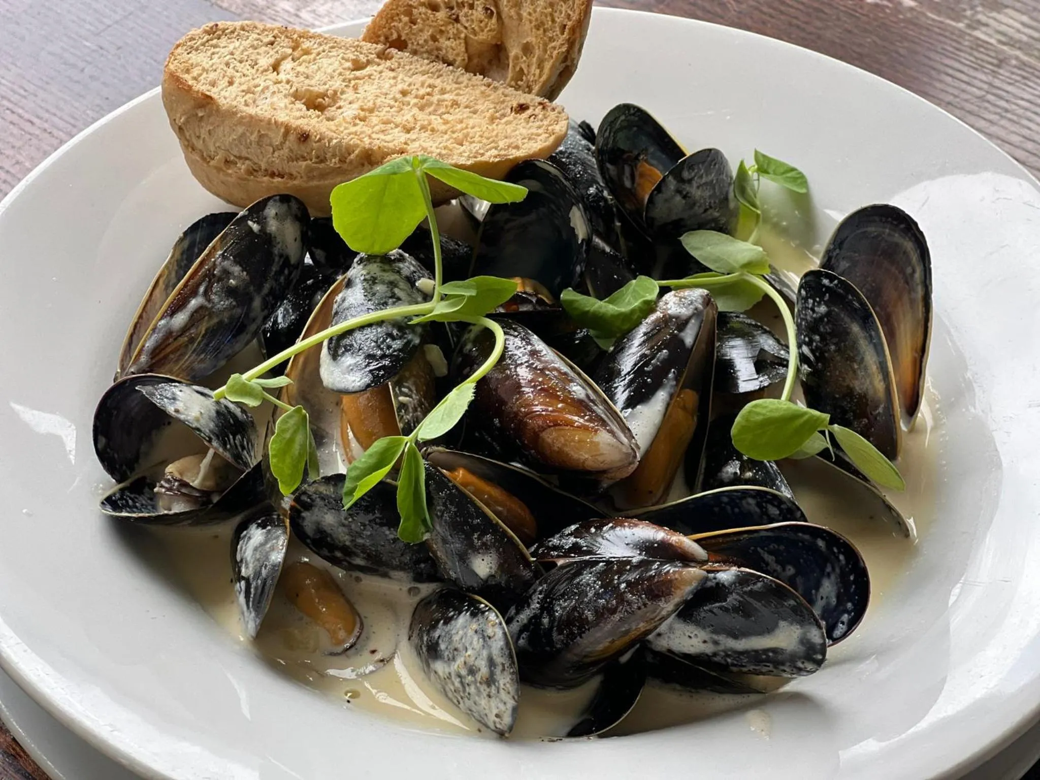 Food and drinks in The Grey Gull Hotel