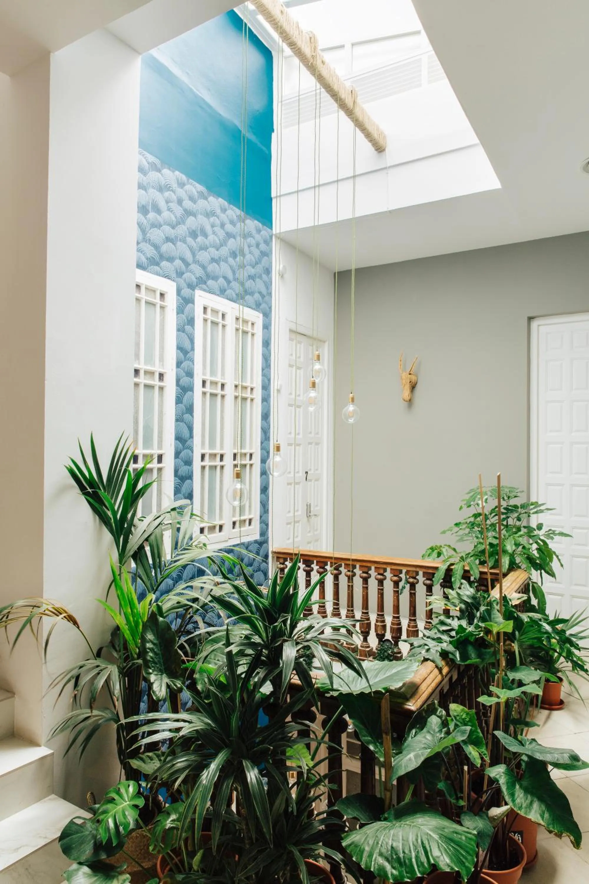 Area and facilities in The Urban Jungle Hostel