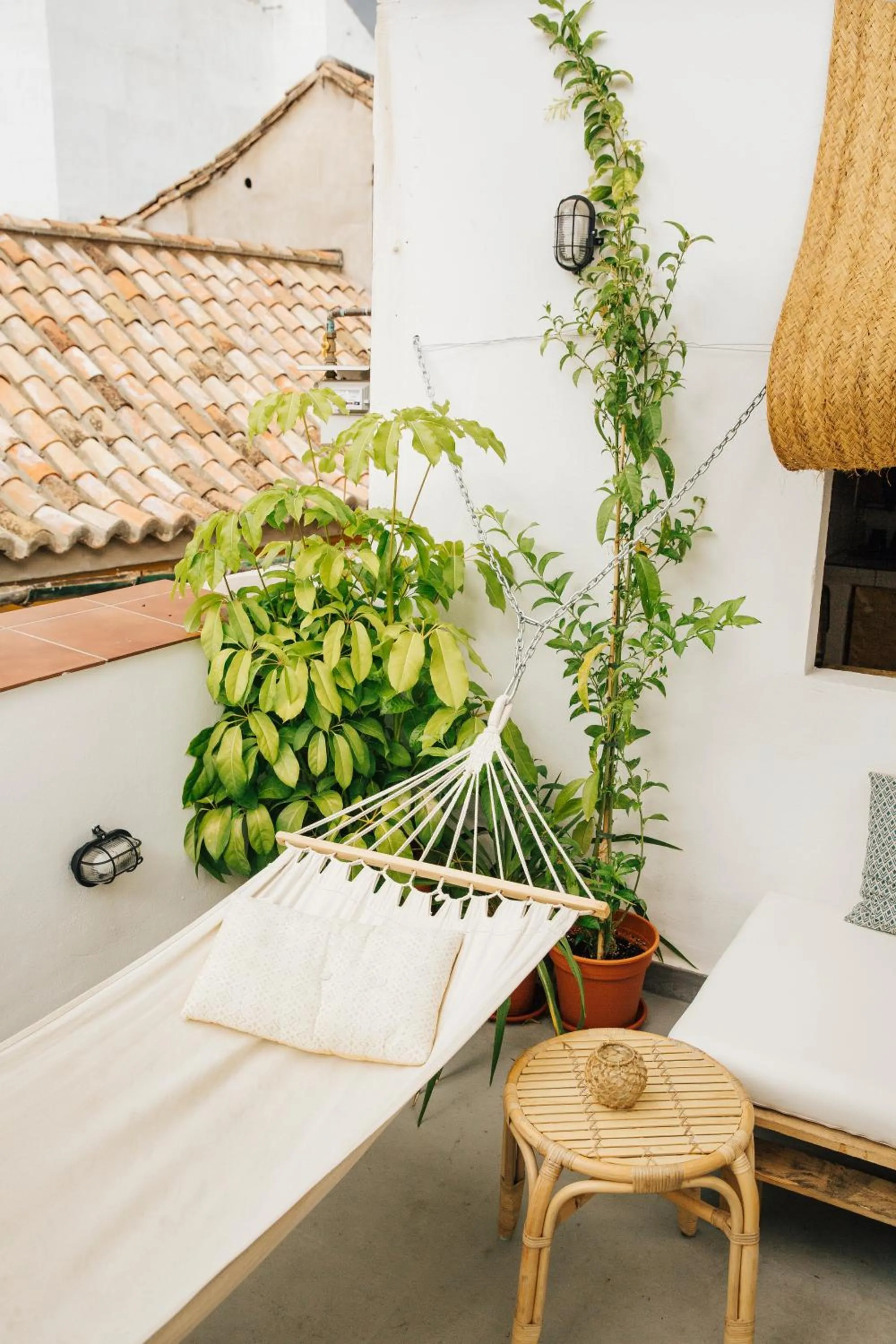 Patio in The Urban Jungle Hostel