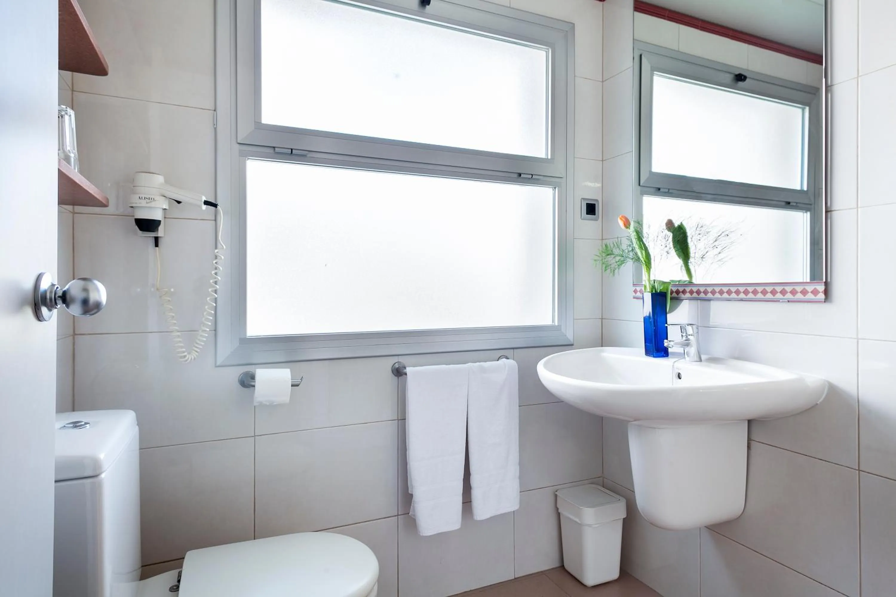 Toilet in Apartamentos Porta Coeli