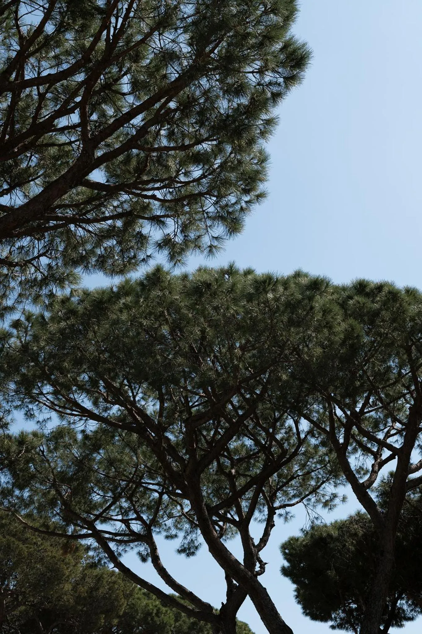 Property building in Apartamentos Porta Coeli