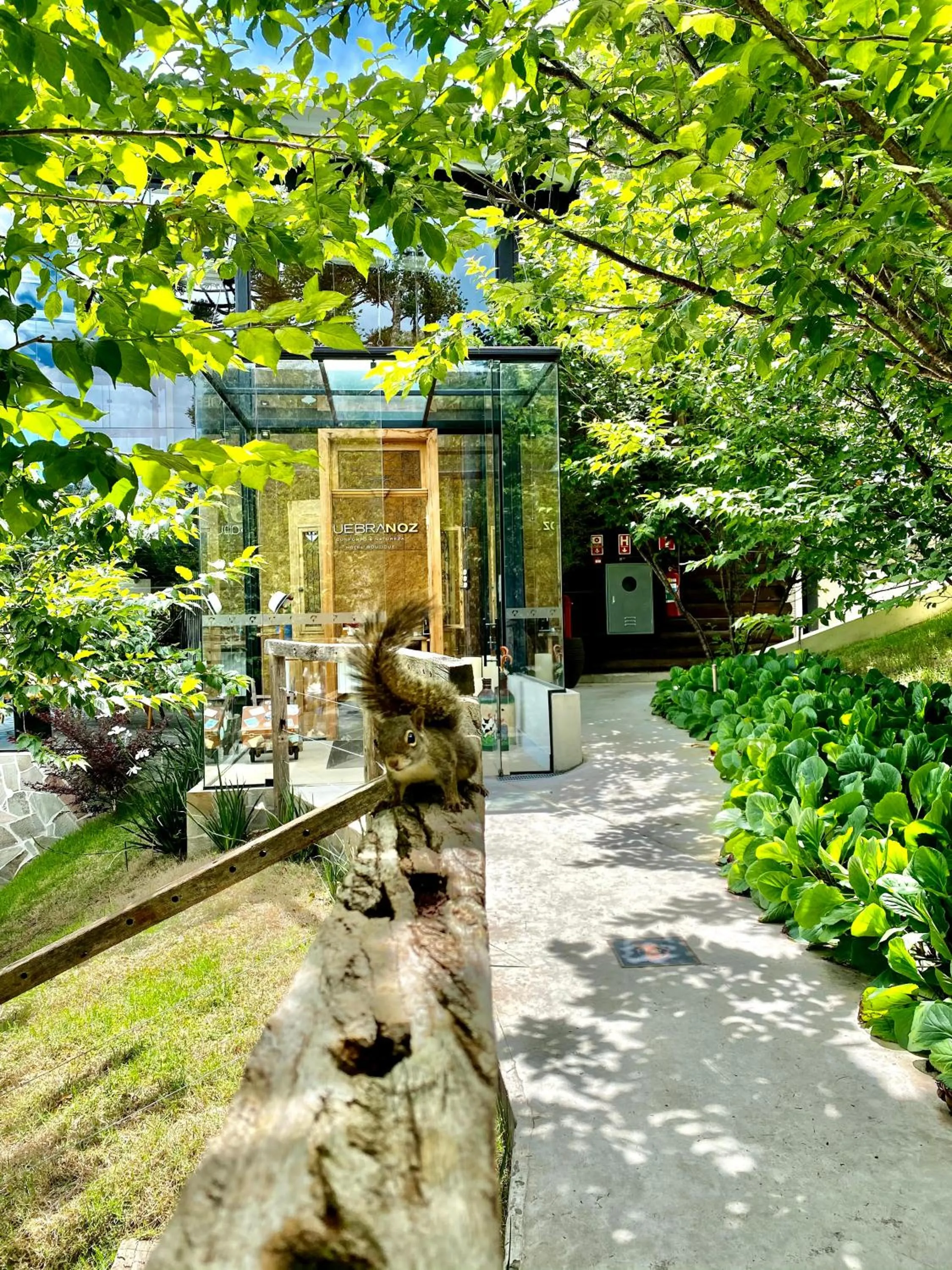 Lobby or reception in Hotel Boutique QUEBRA-NOZ
