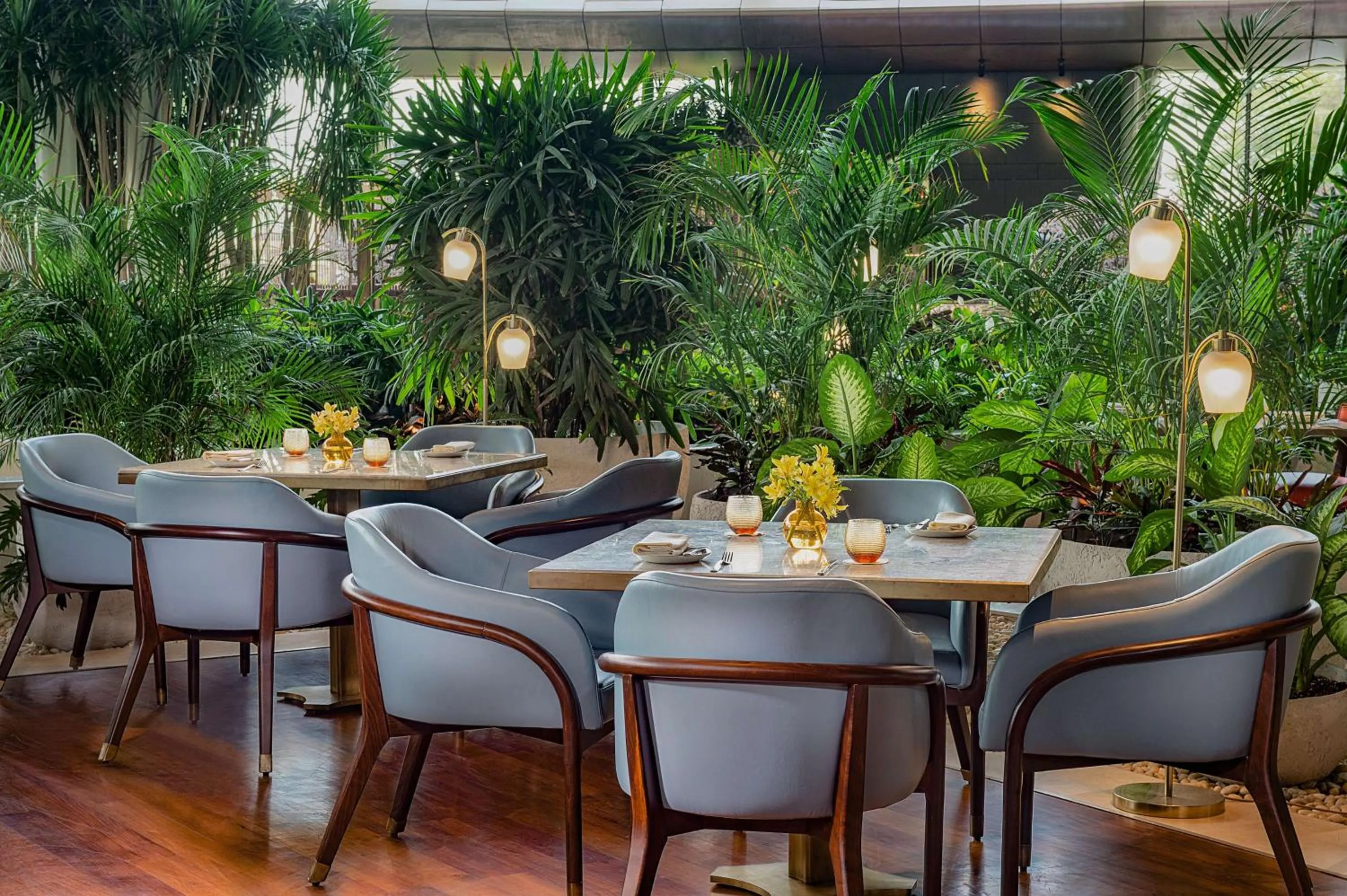 Restaurant/places to eat in Waldorf Astoria Cairo Heliopolis