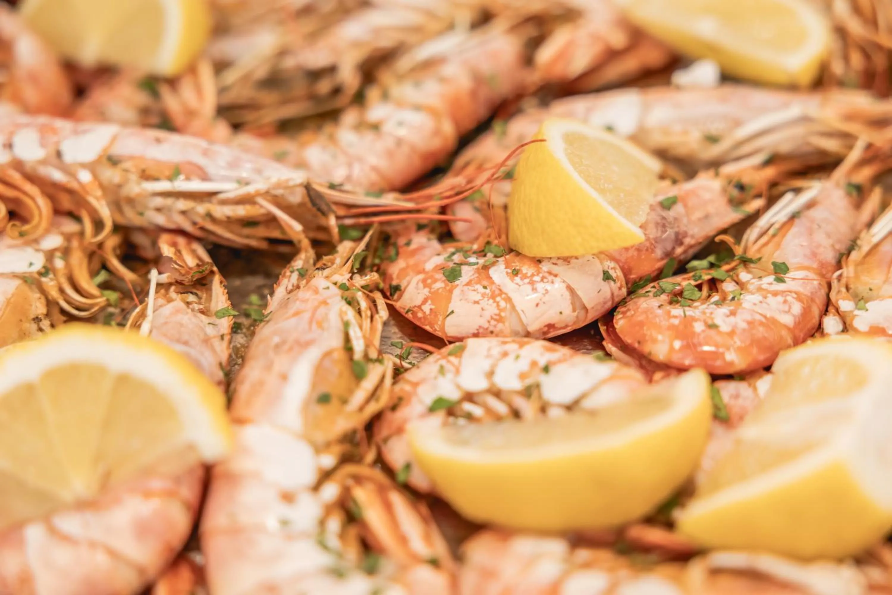 Restaurant/places to eat in Hotel Principe