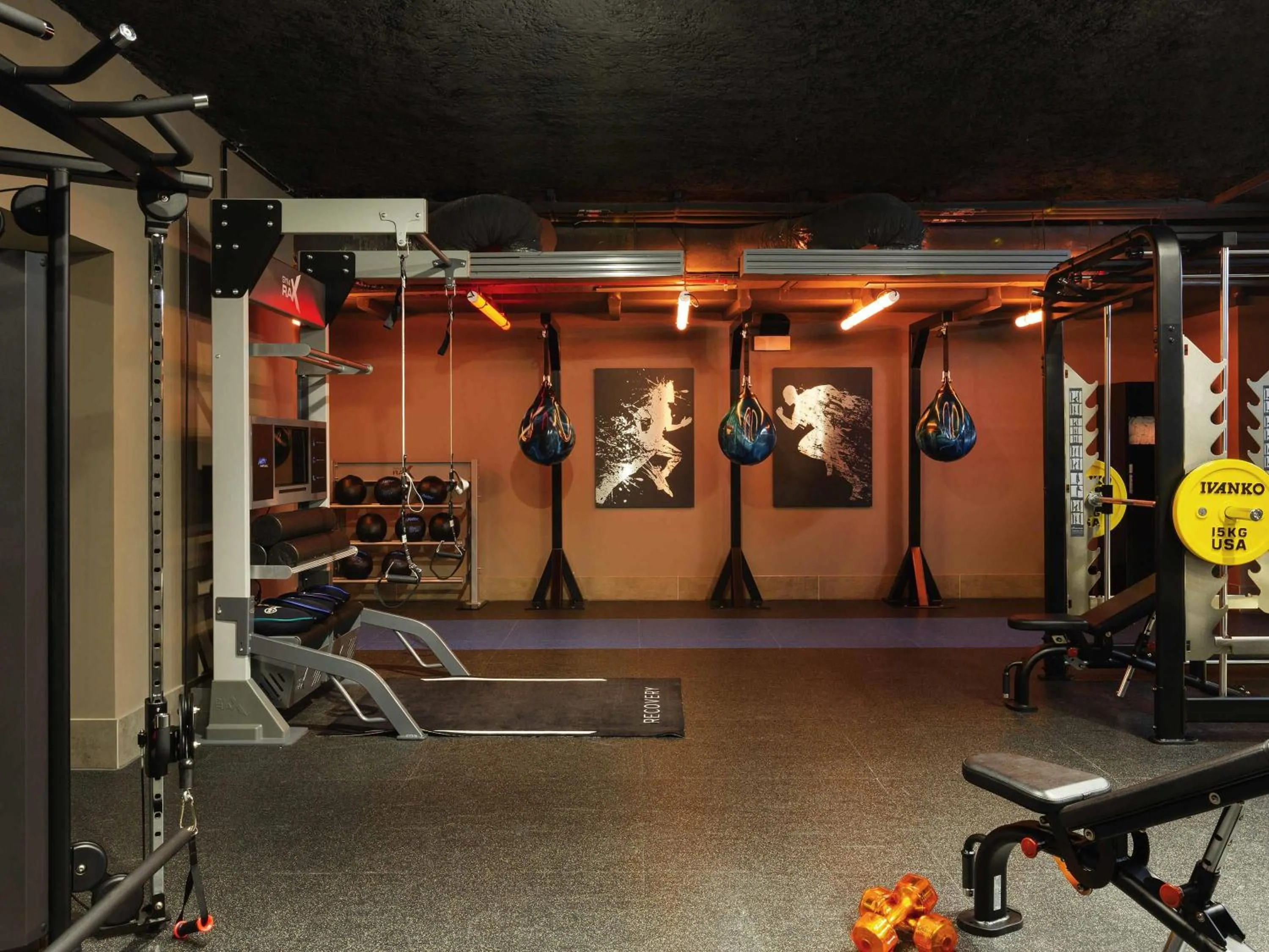Fitness centre/facilities in Pullman Paris Montparnasse