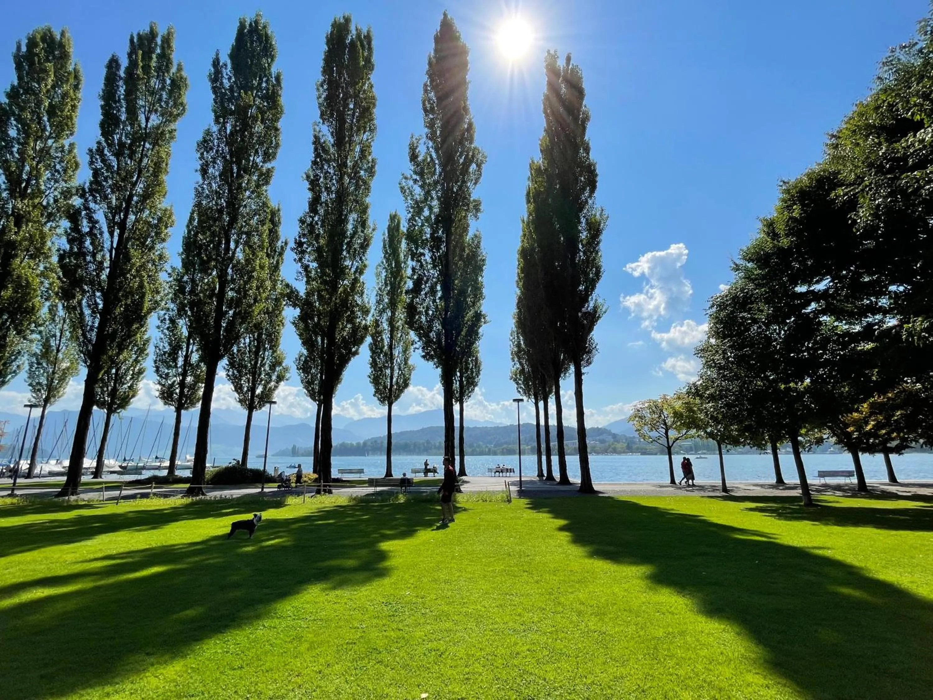 Area and facilities in Hotel Schlüssel