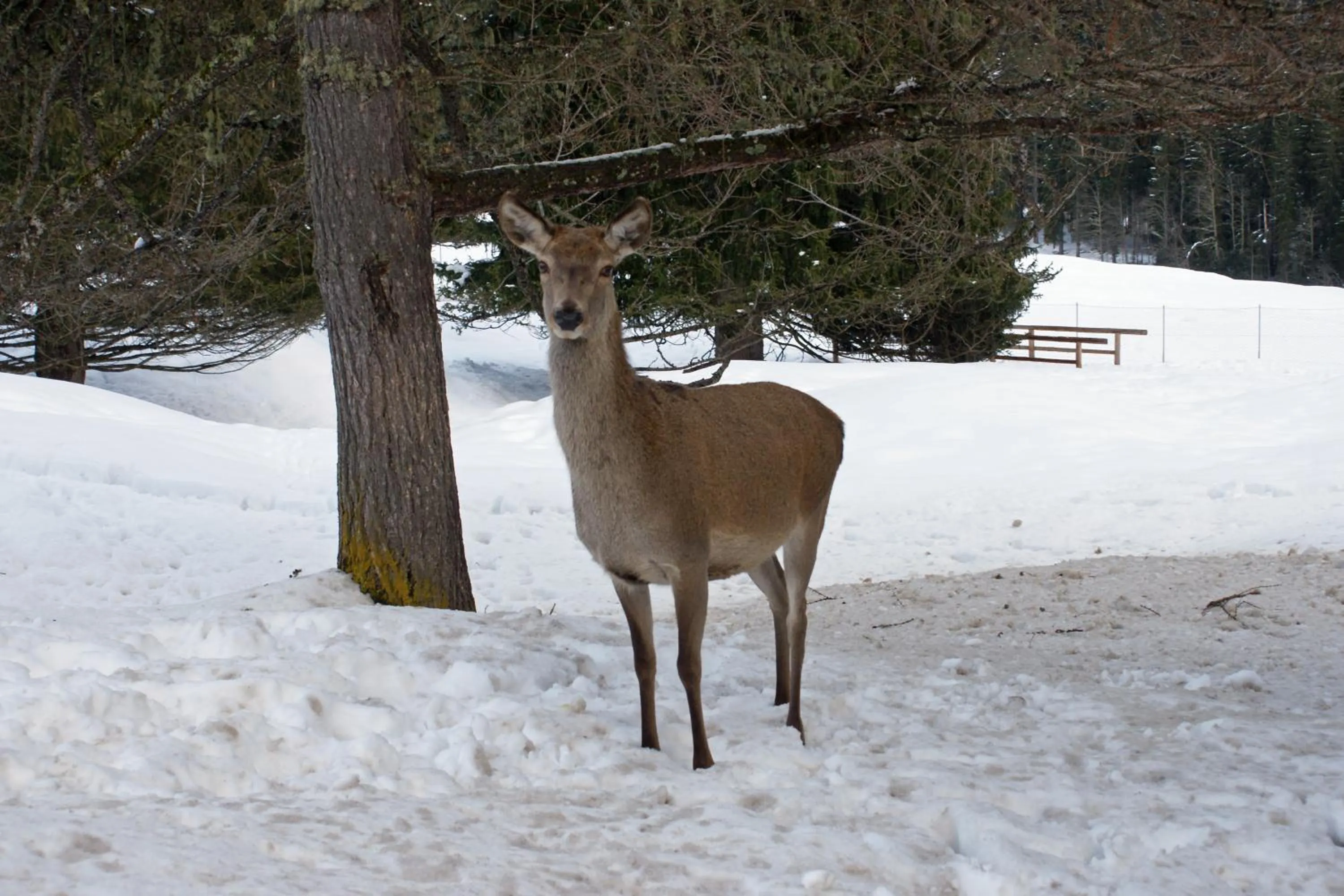 Other in Sporting Clubresidence