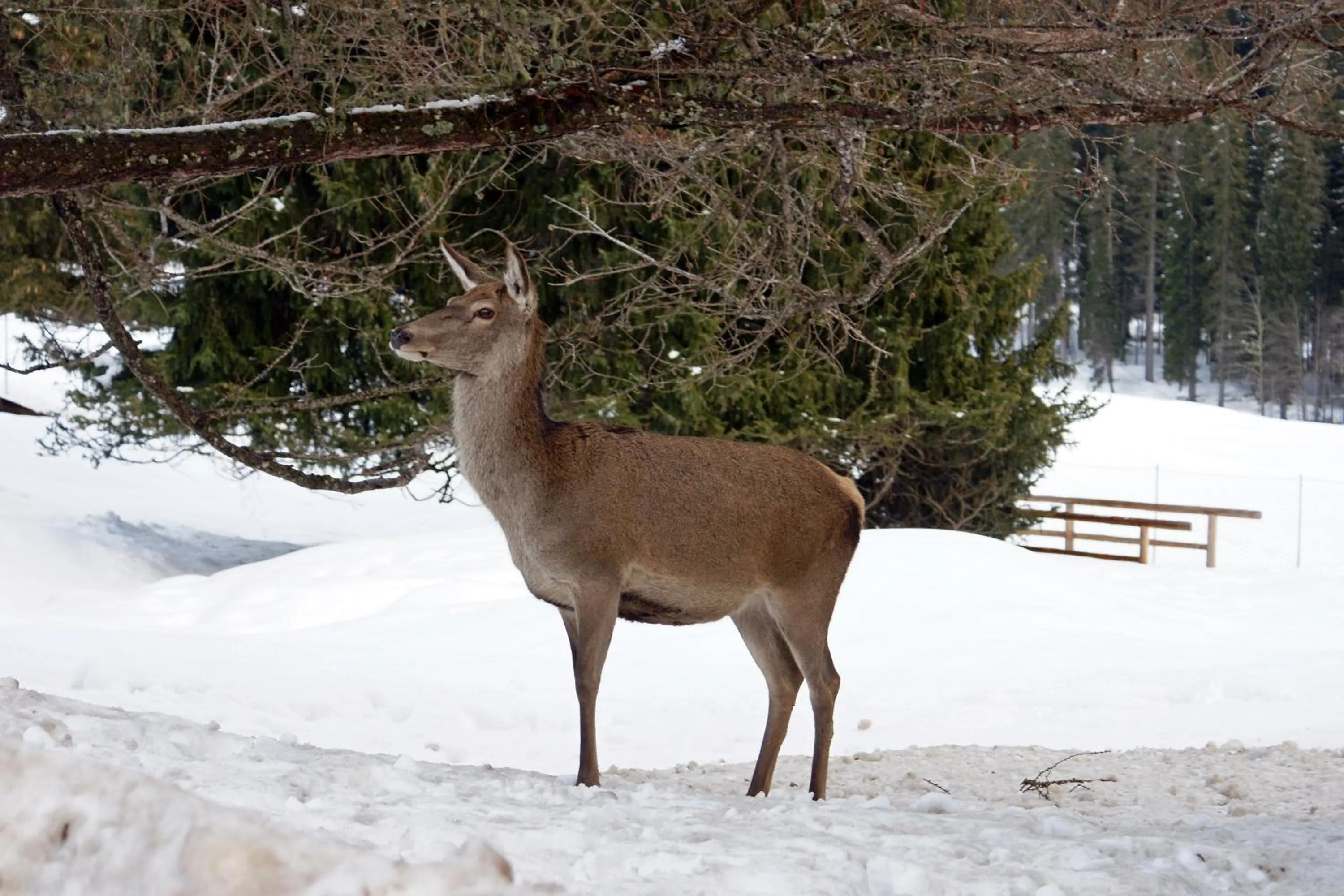 Other in Sporting Clubresidence