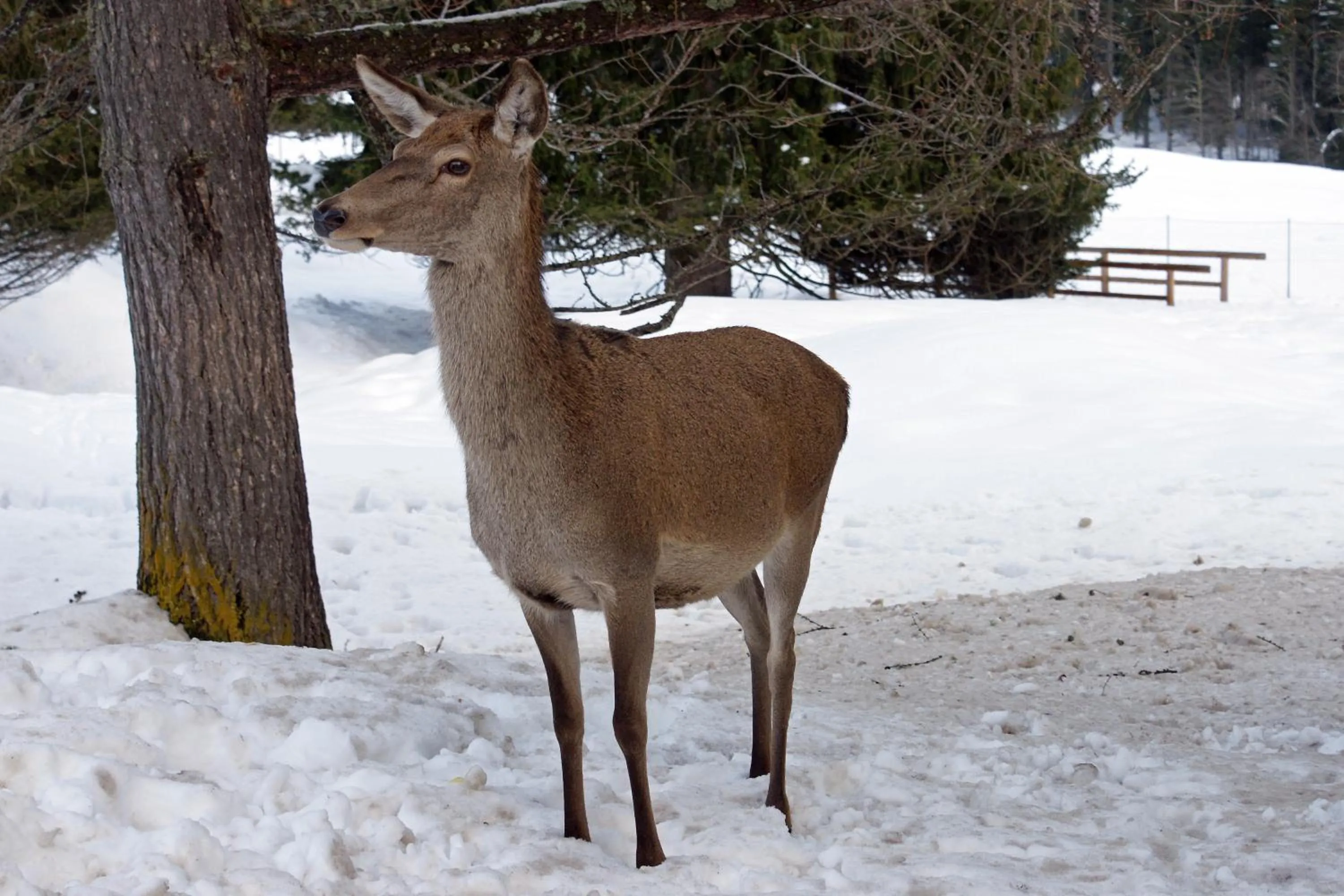 Other in Sporting Clubresidence