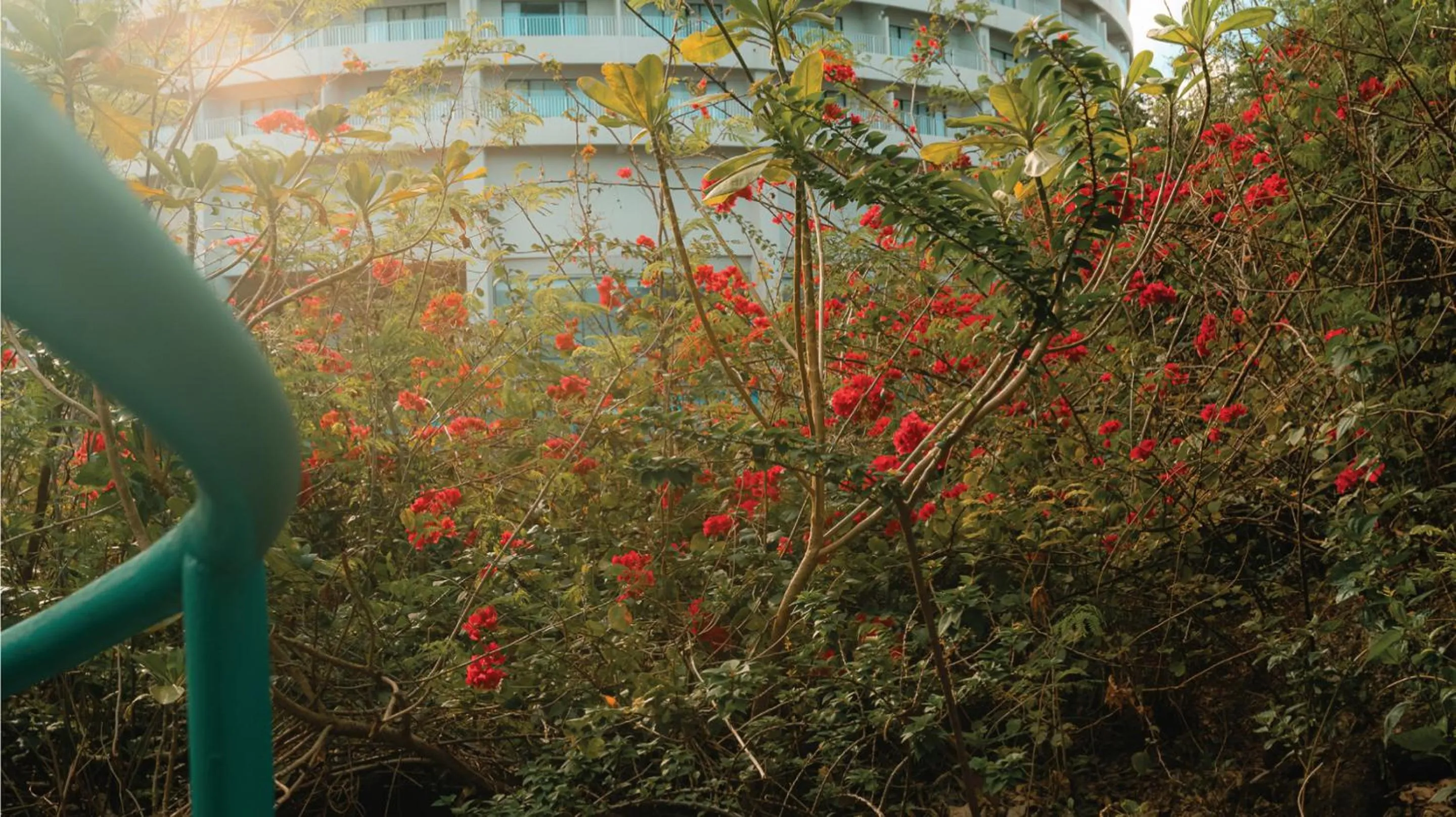 Natural landscape in Hotel Nikko Guam