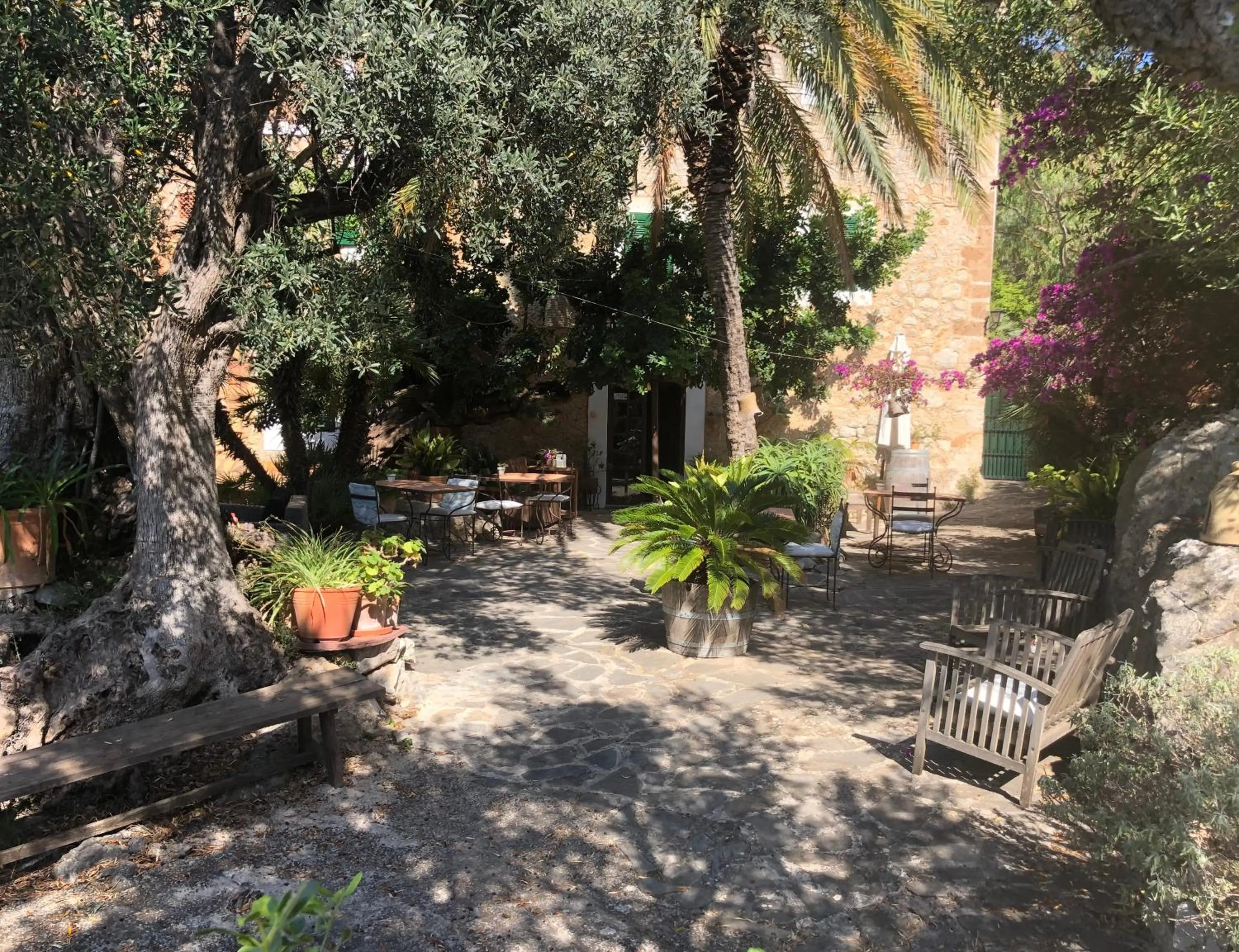 Garden in Sa Plana Petit Hotel