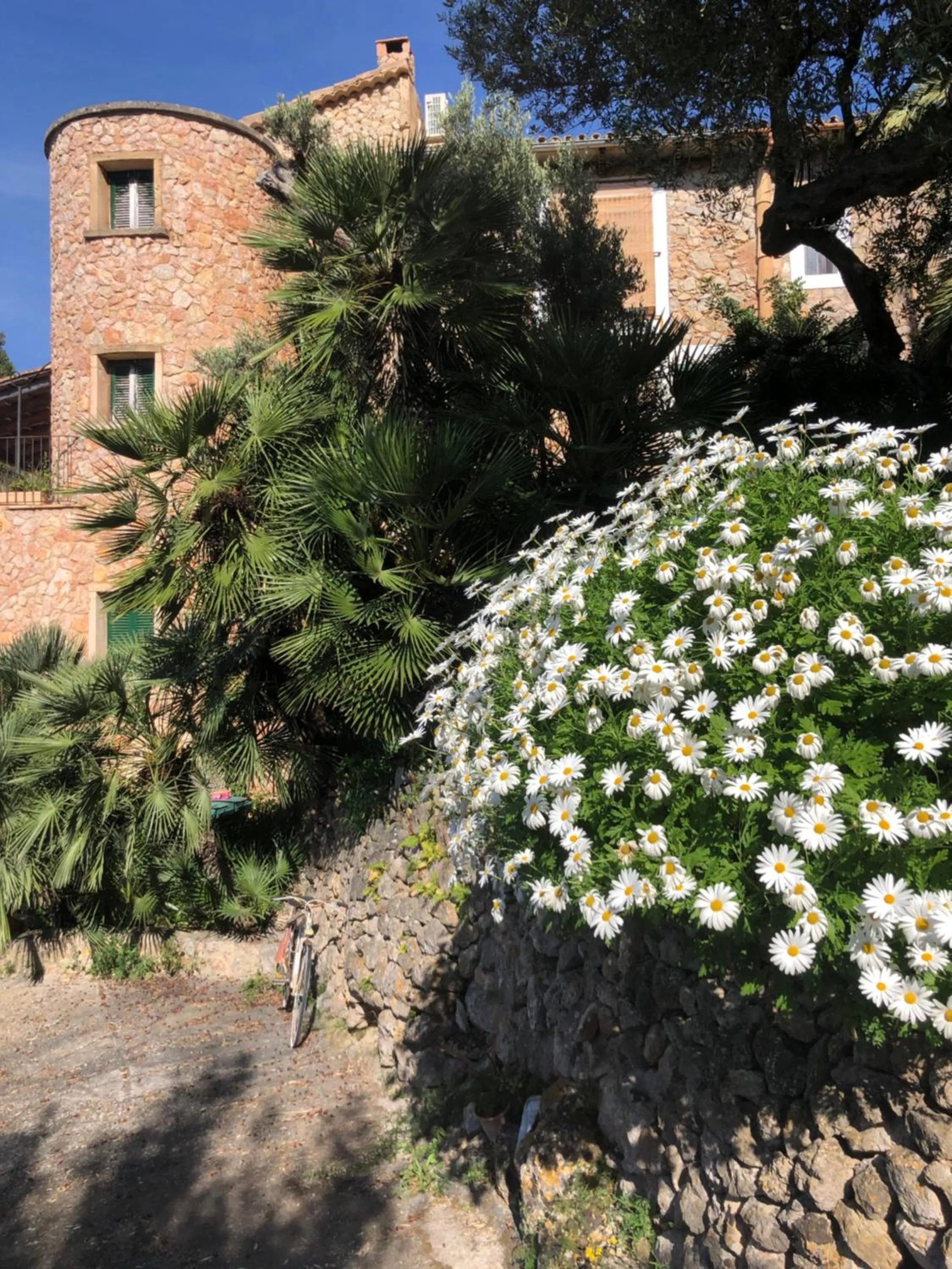 Garden in Sa Plana Petit Hotel