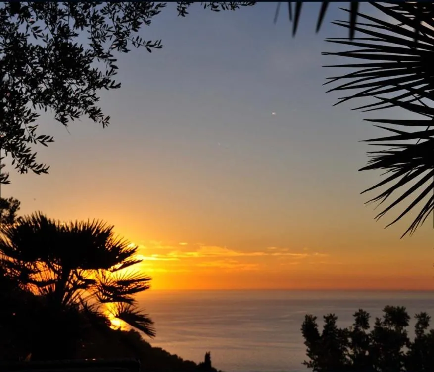 Patio in Sa Plana Petit Hotel