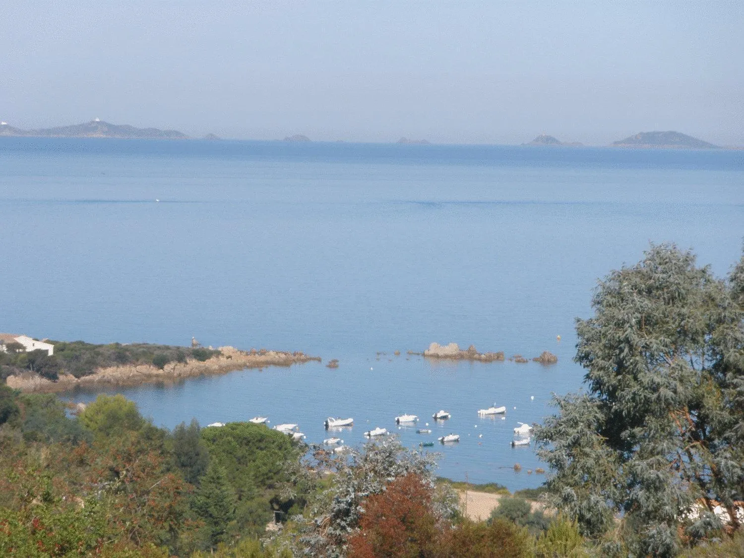 View (from property/room) in Hotel Celine