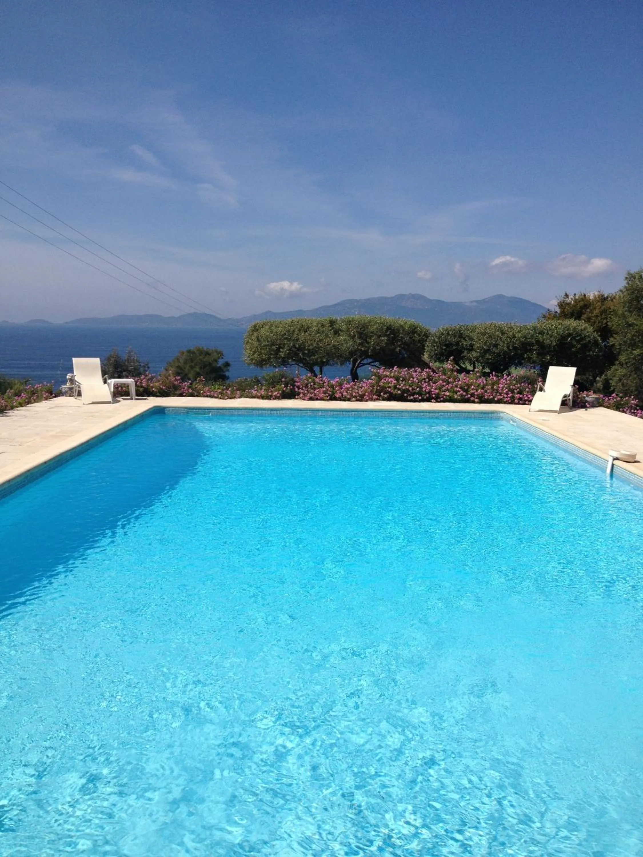 Swimming pool in Hotel Celine