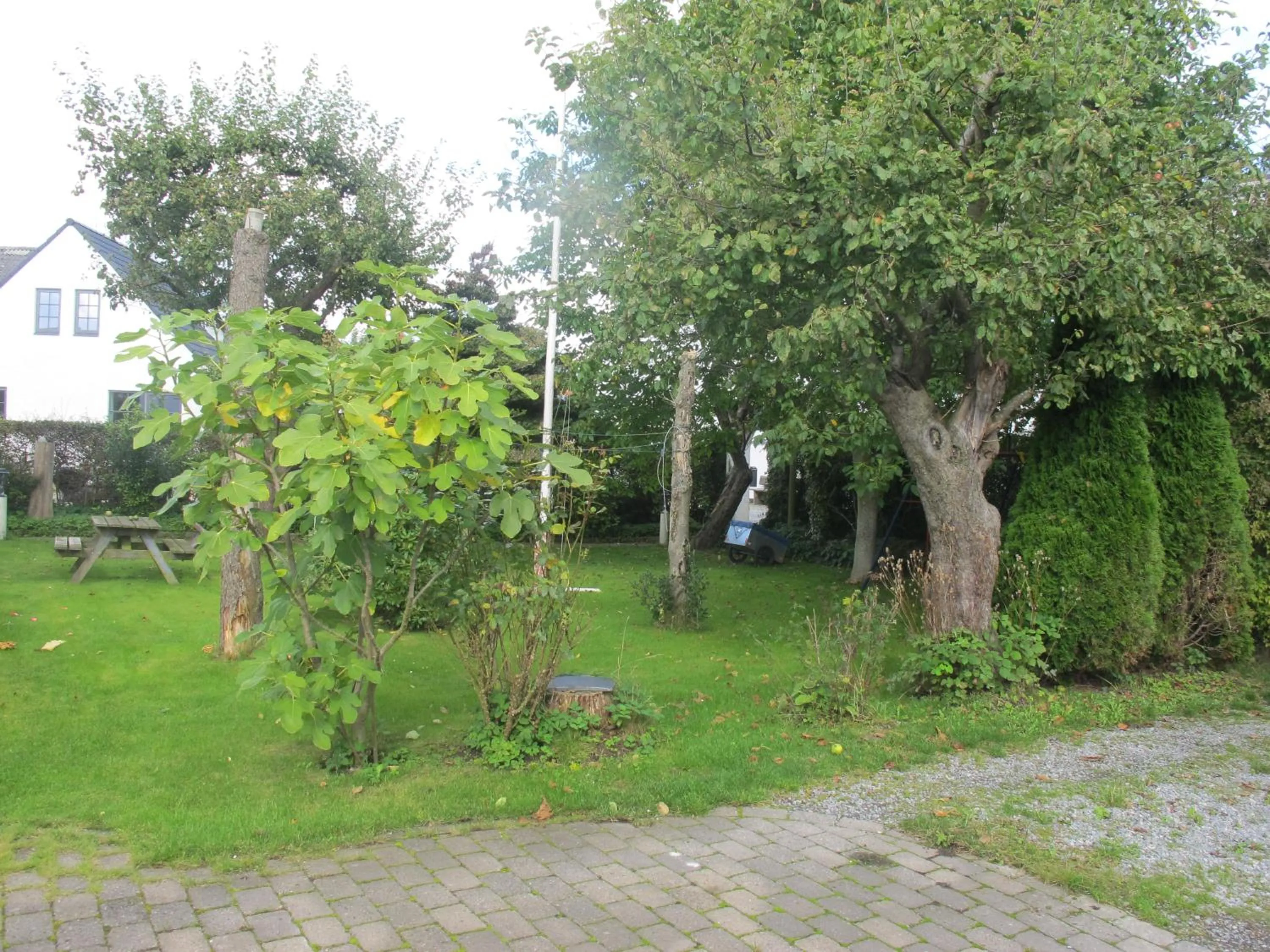 Garden in Guesthouse Sharon Aarhus