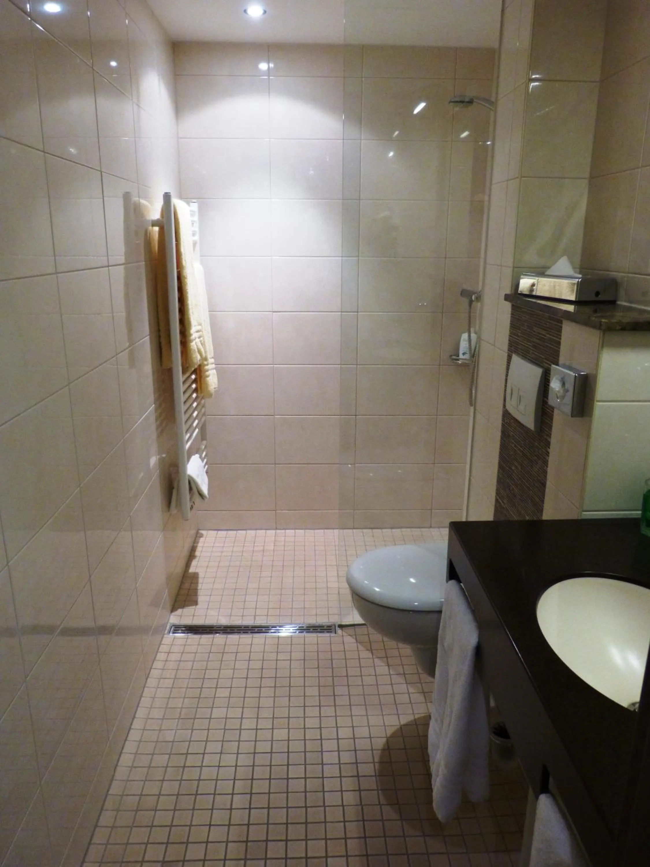 Bathroom in Hotel Evering