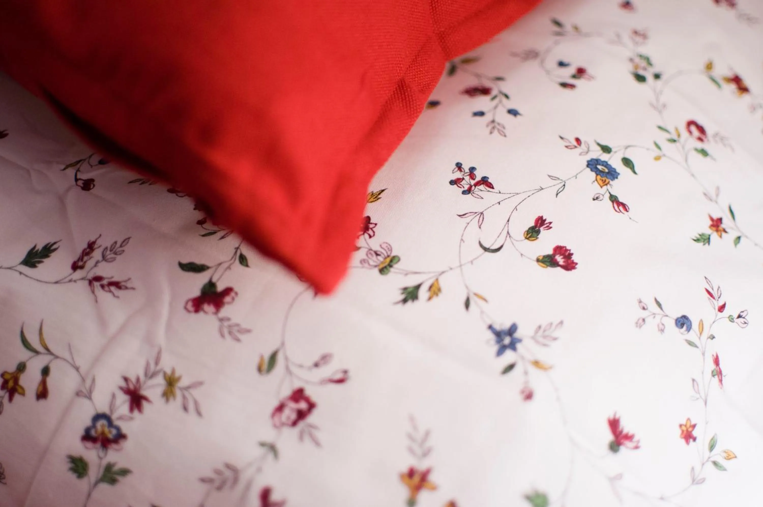 Decorative detail, Bed in Jacuzzi Apartment Red