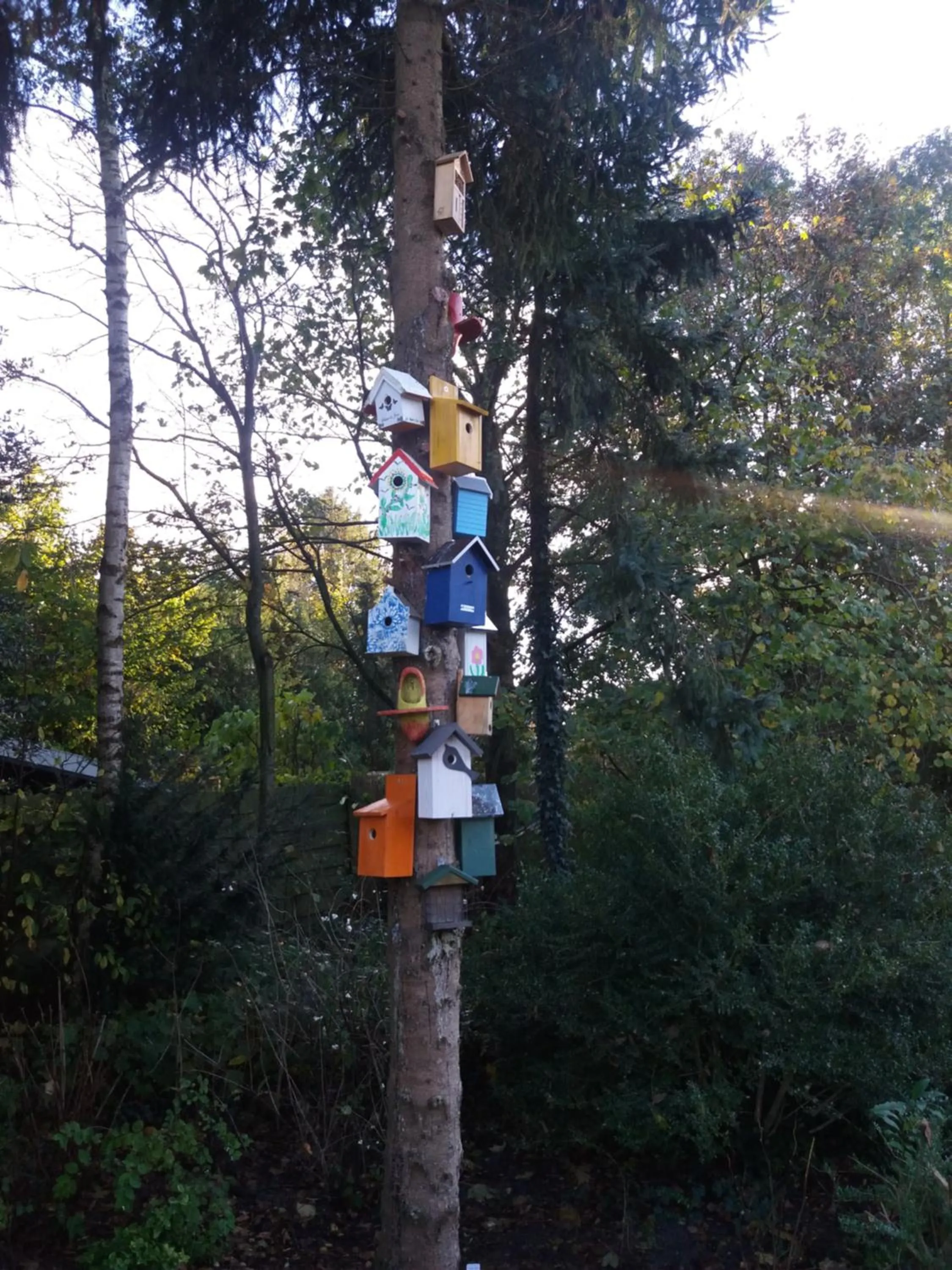 Garden in Gastenverblijf 't Achterhoes