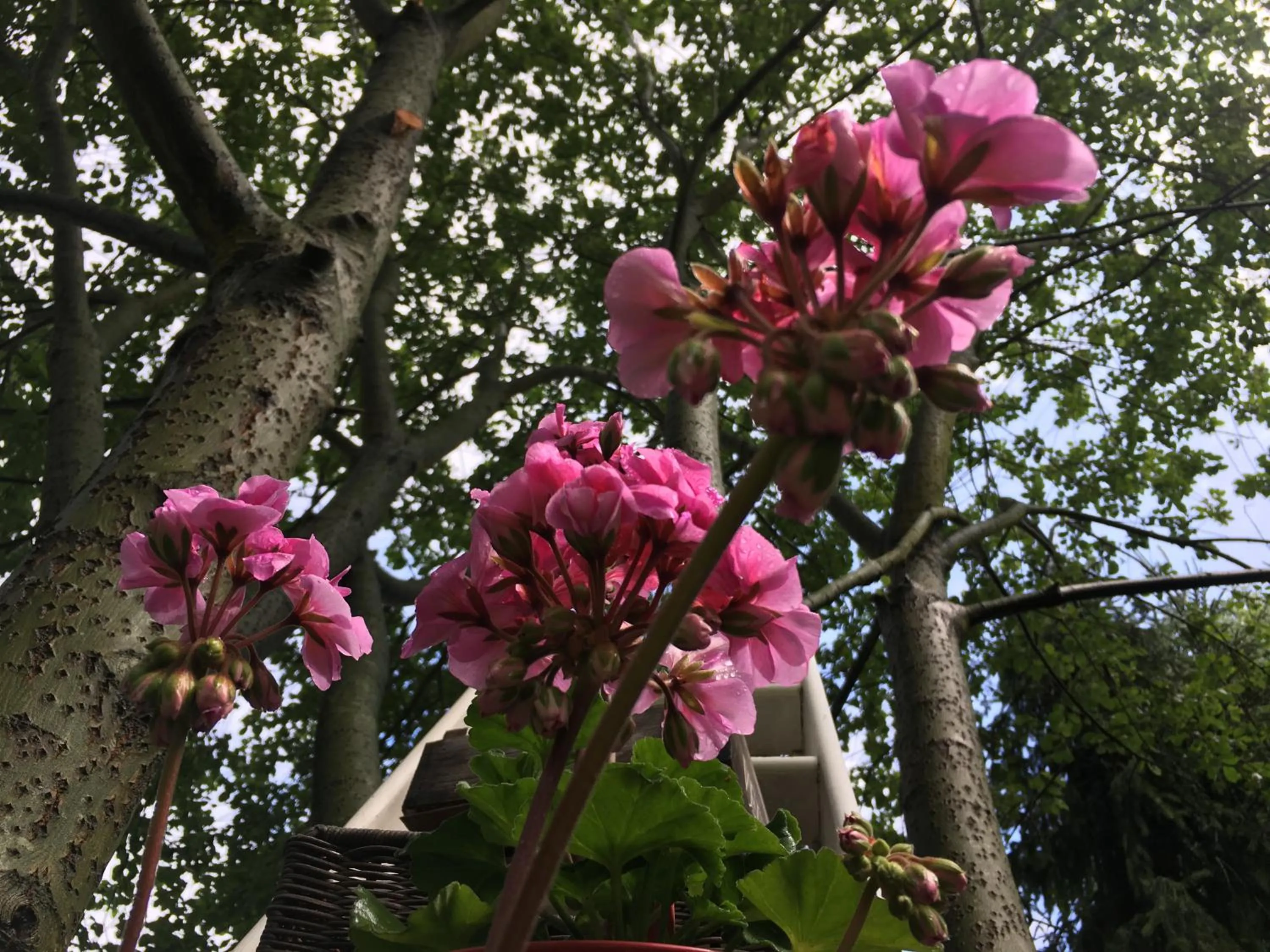 Property building in Gastenverblijf 't Achterhoes