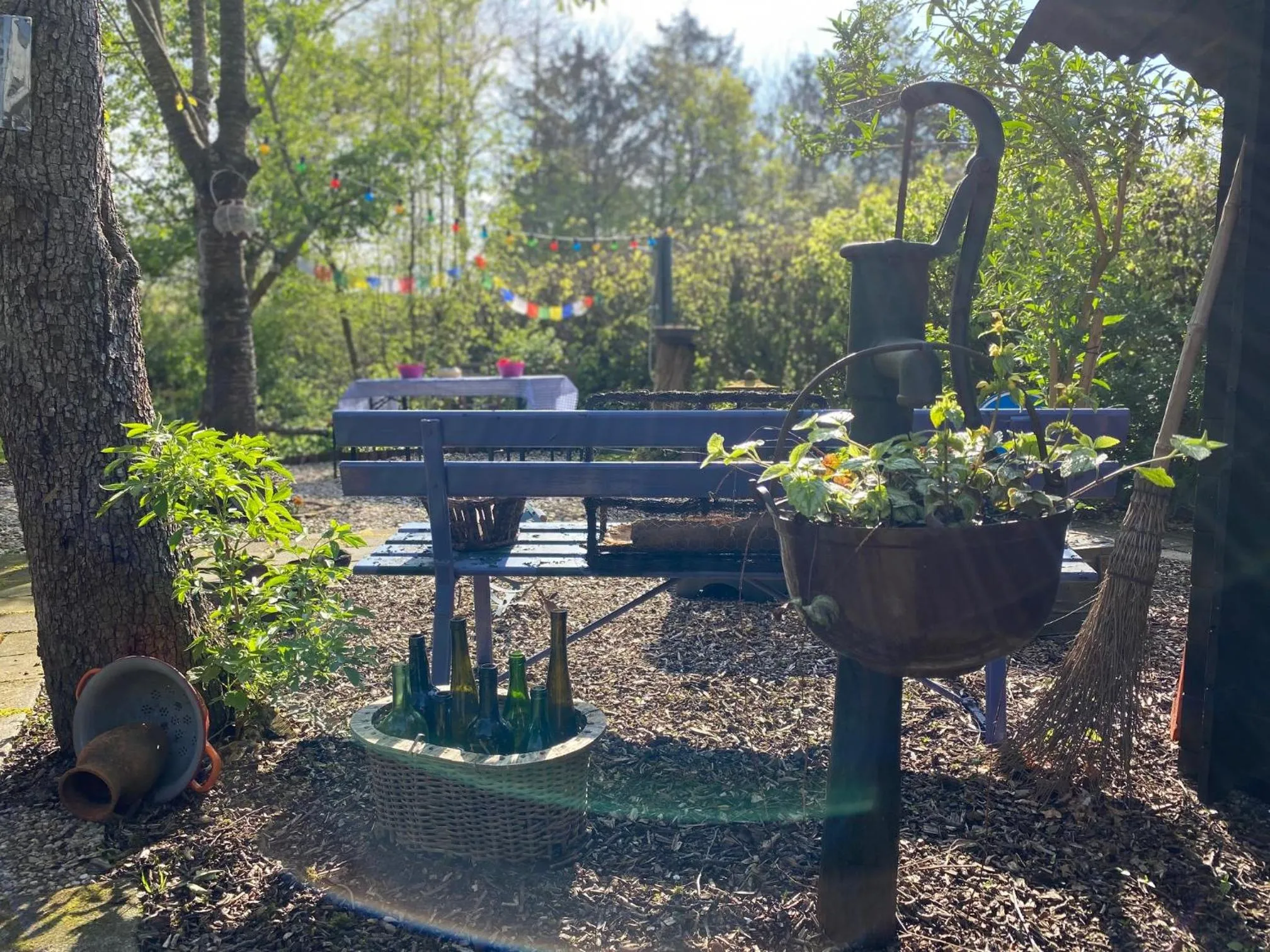 Garden in Gastenverblijf 't Achterhoes