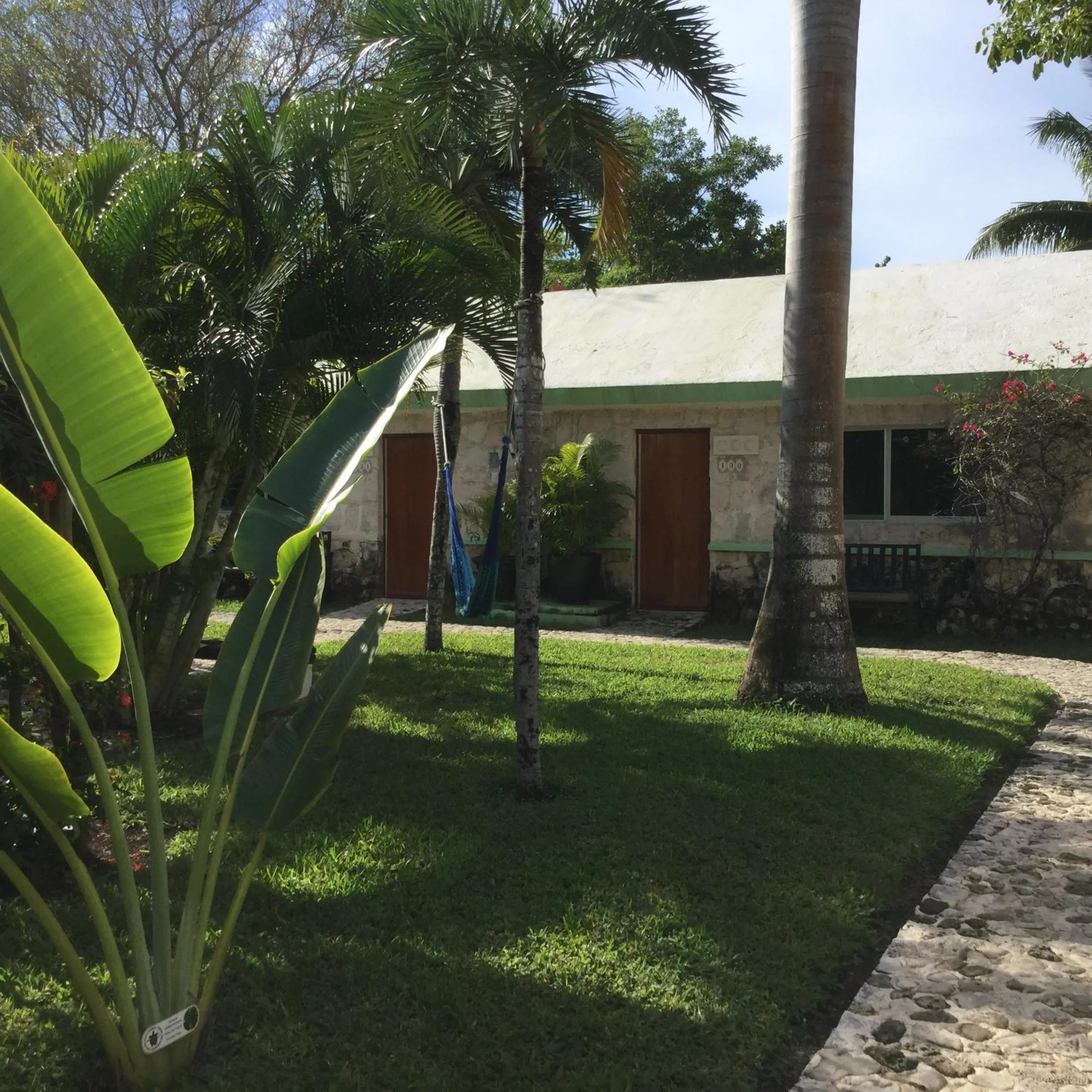 Garden view in Hotel Club Akumal Caribe