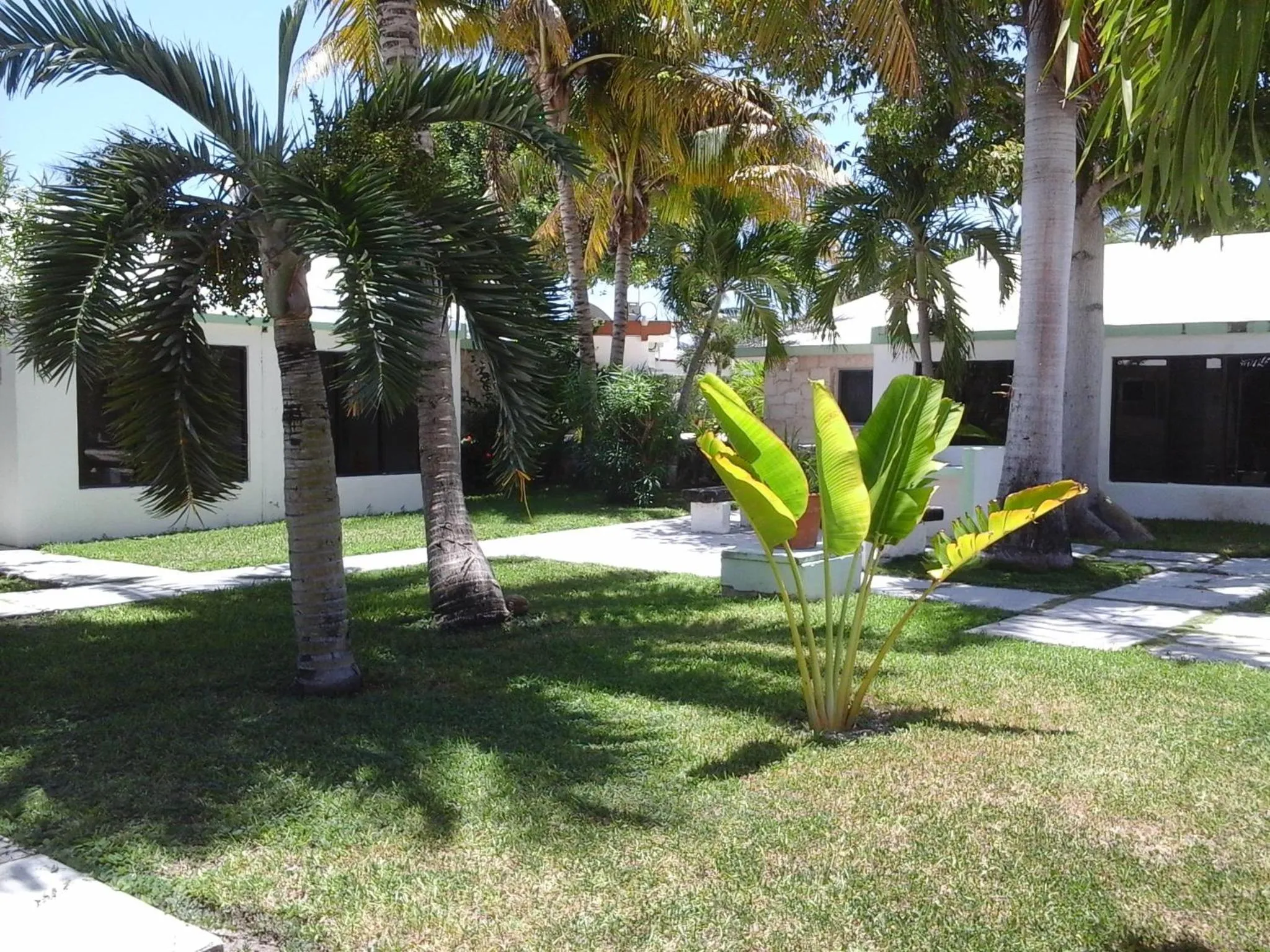 Garden in Hotel Club Akumal Caribe