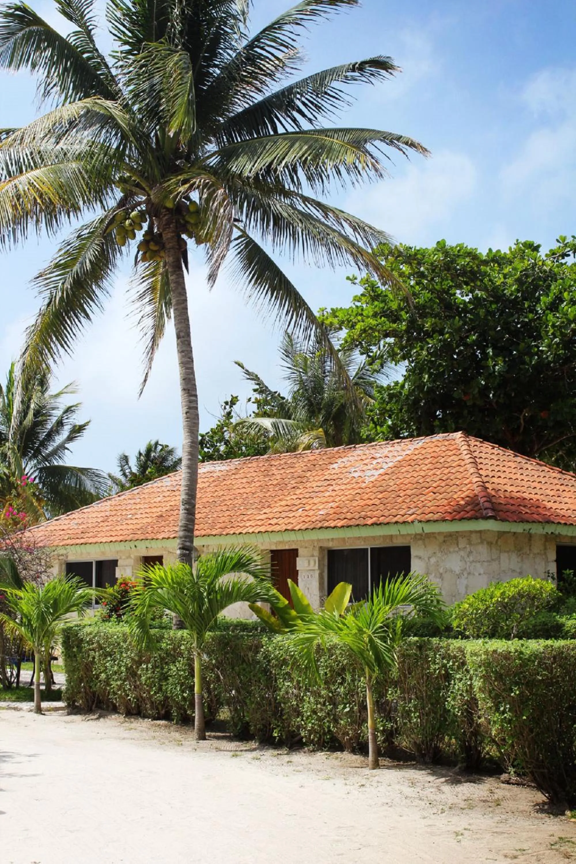 Other in Hotel Club Akumal Caribe