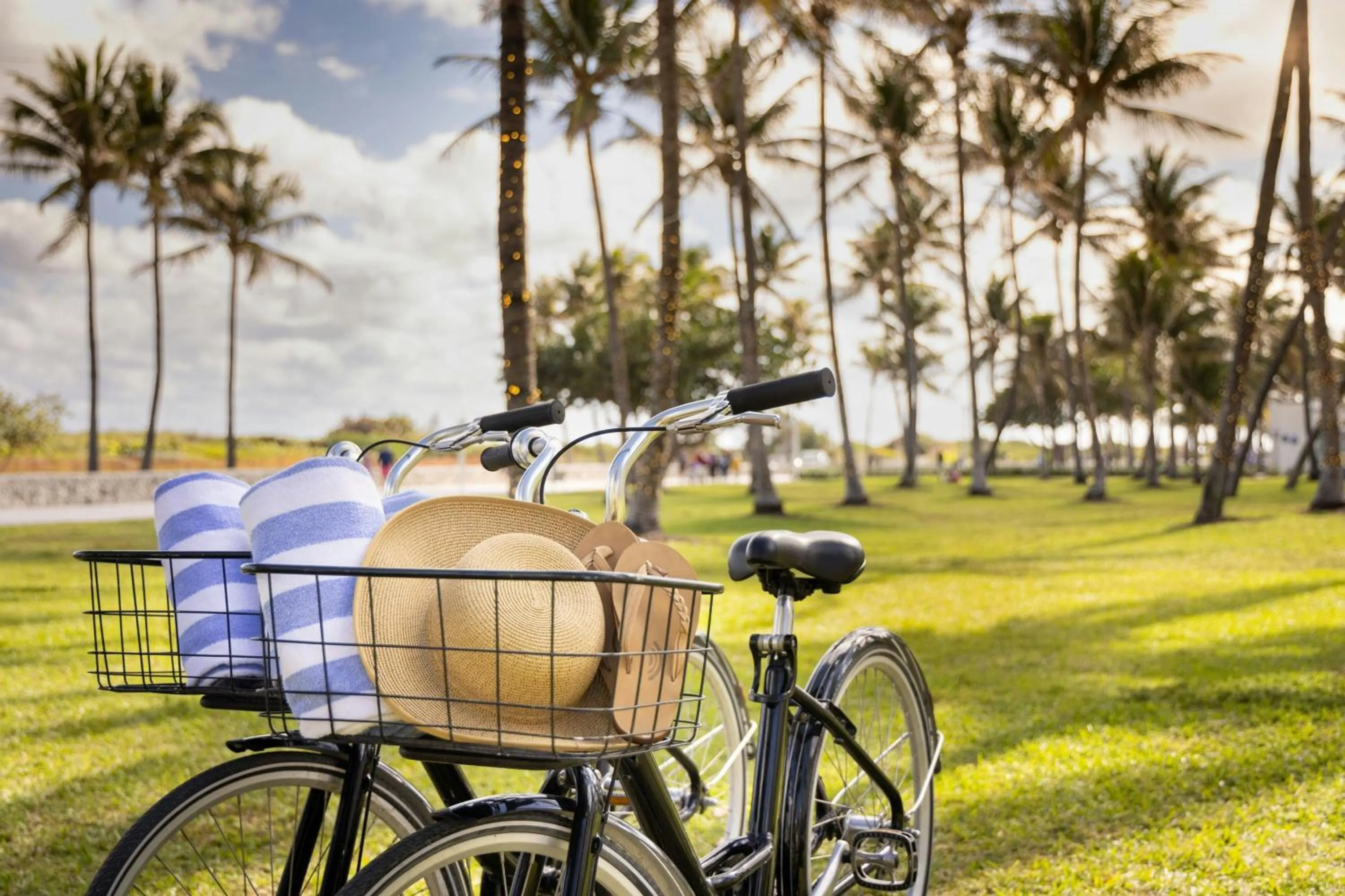 Other in Marriott Vacation Club, South Beach