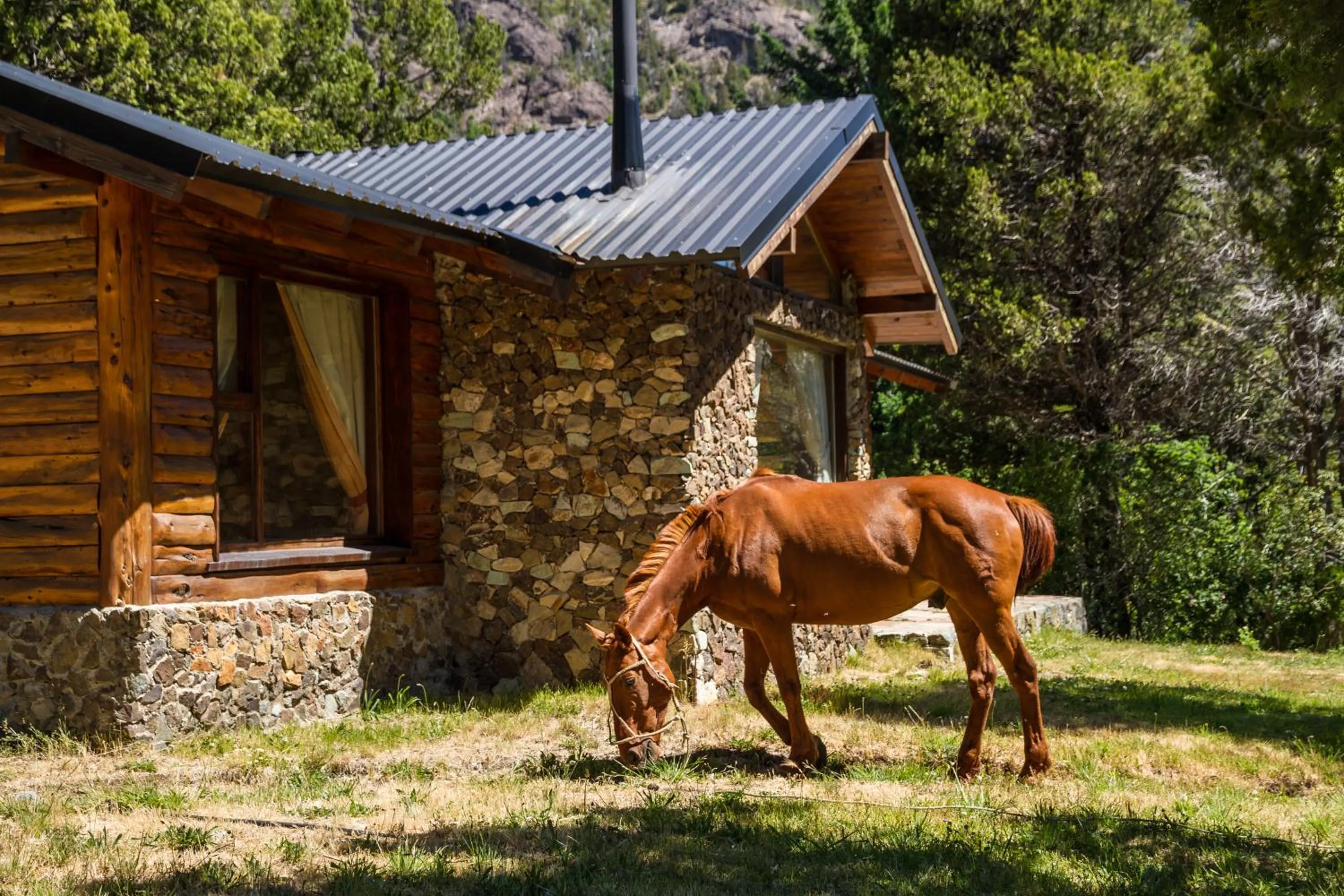 Animals in Estancia Del Carmen Mountain Resort