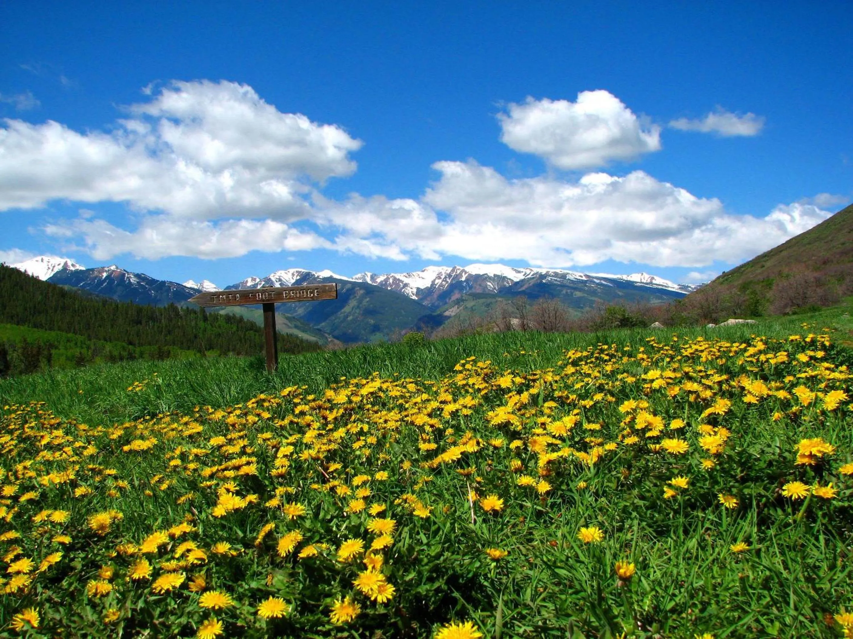 Spring in Tyrolean Lodge