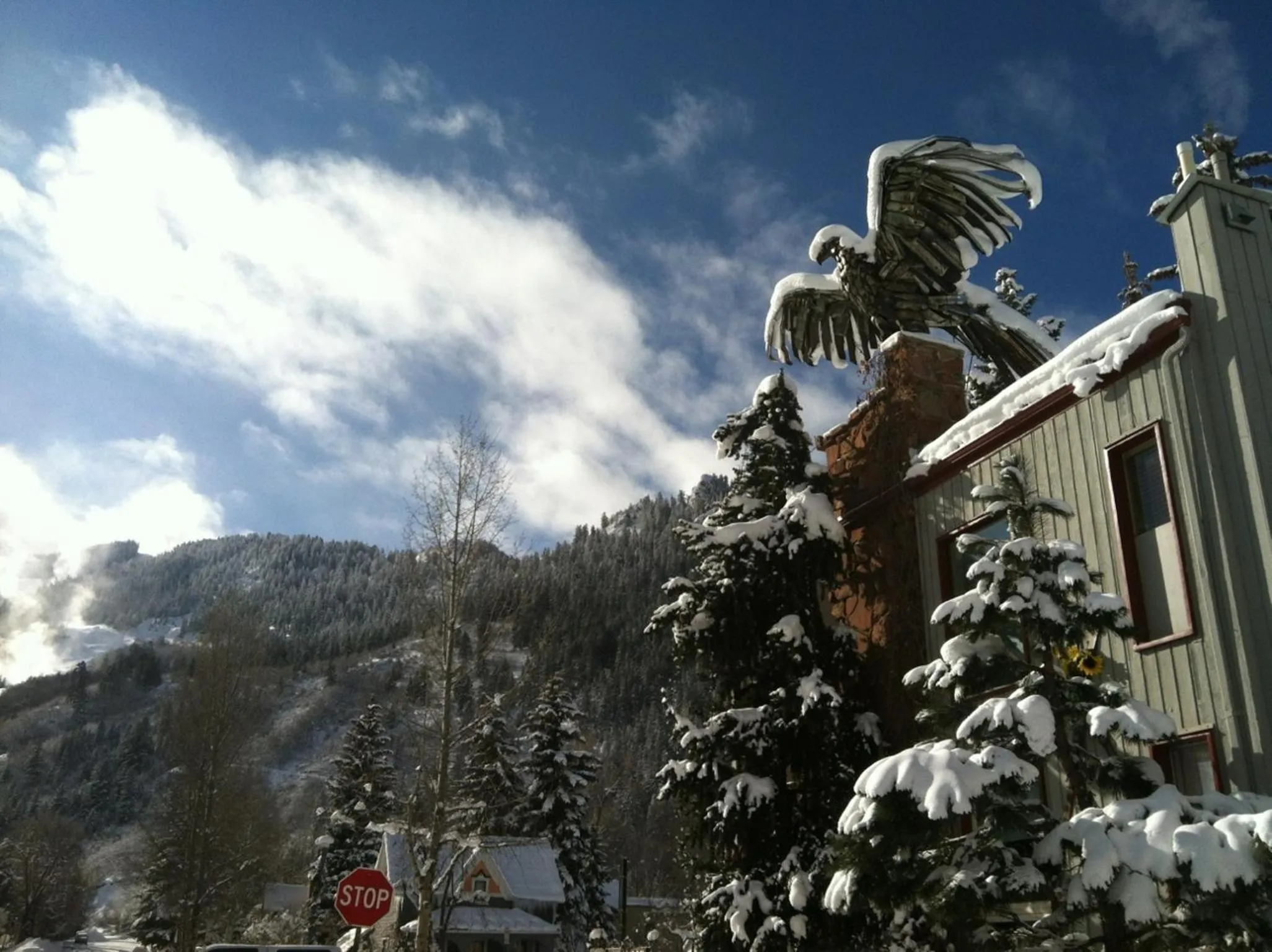 Natural landscape in Tyrolean Lodge