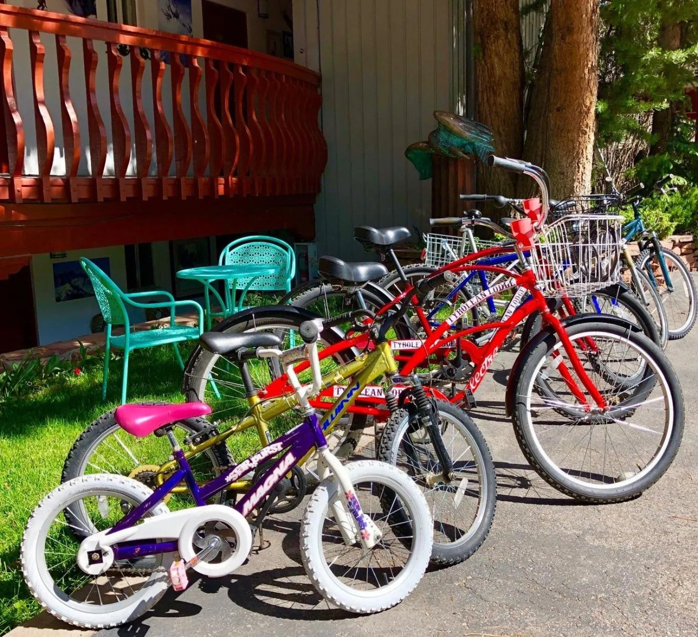 Cycling in Tyrolean Lodge