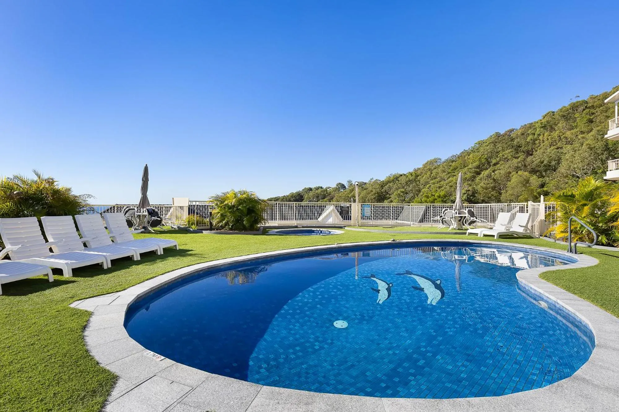 Swimming pool in The Hill Apartments Currumbin Beach