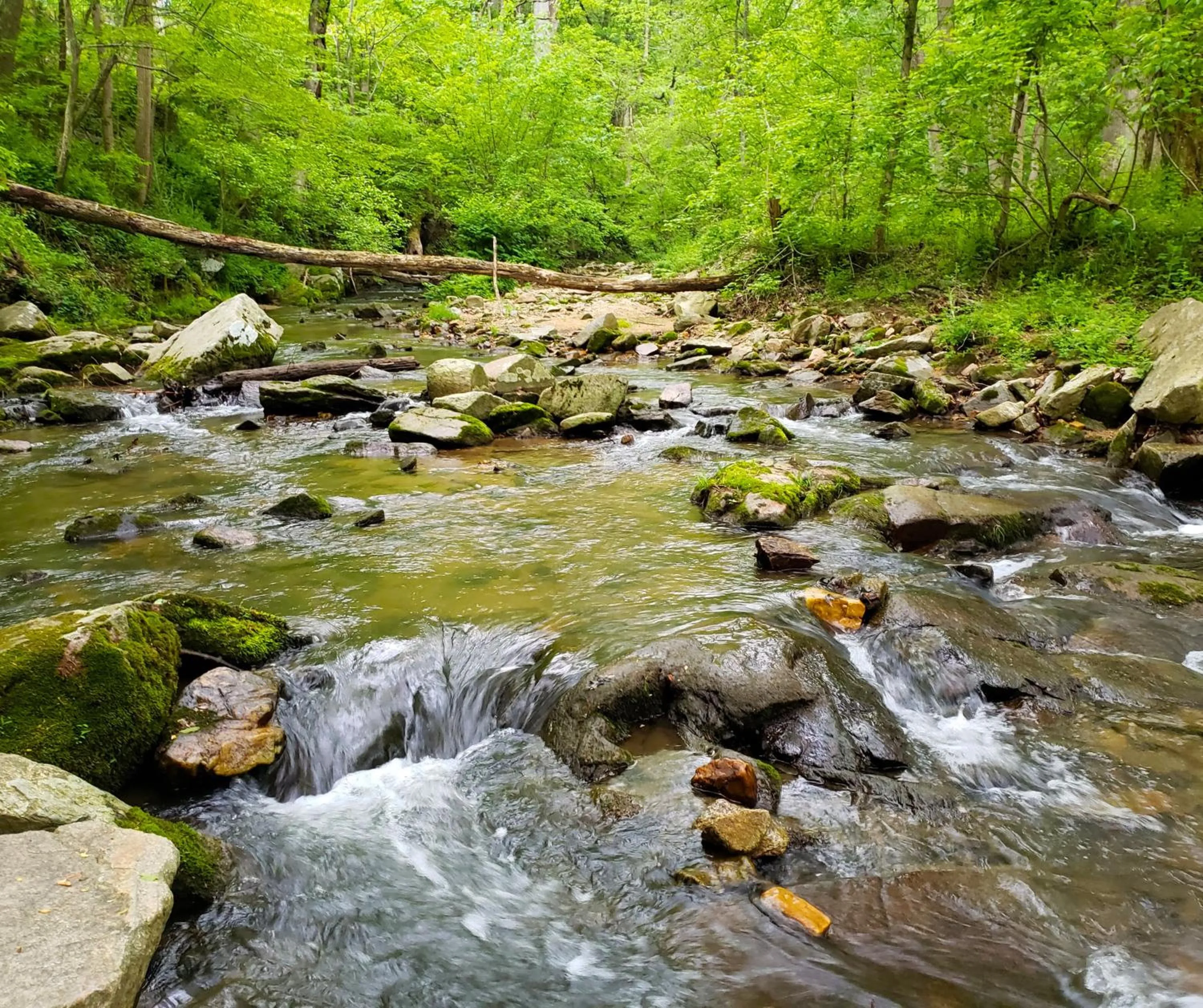 Hiking in Holiday Inn - Belcamp - Aberdeen Area by IHG