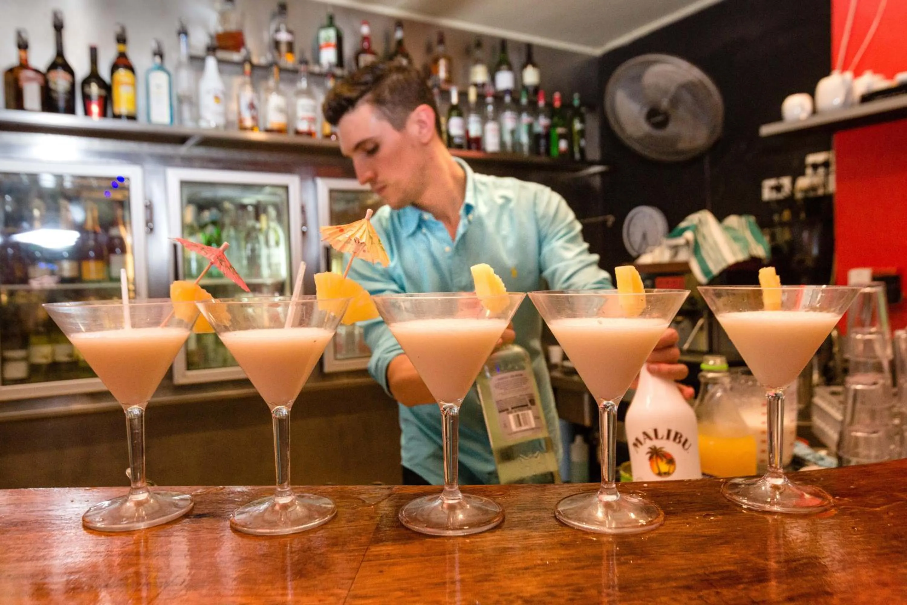 Lounge or bar in Turtle Cove Beach Resort - Adults Only LGBTQIA & Allies