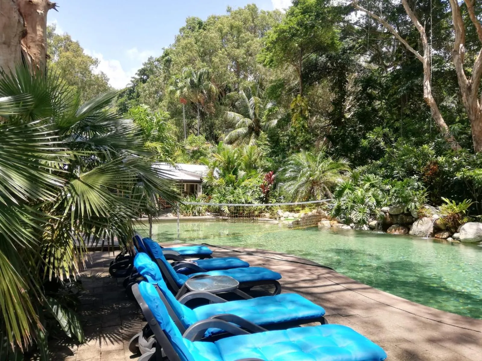 Swimming pool in Turtle Cove Beach Resort - Adults Only LGBTQIA & Allies