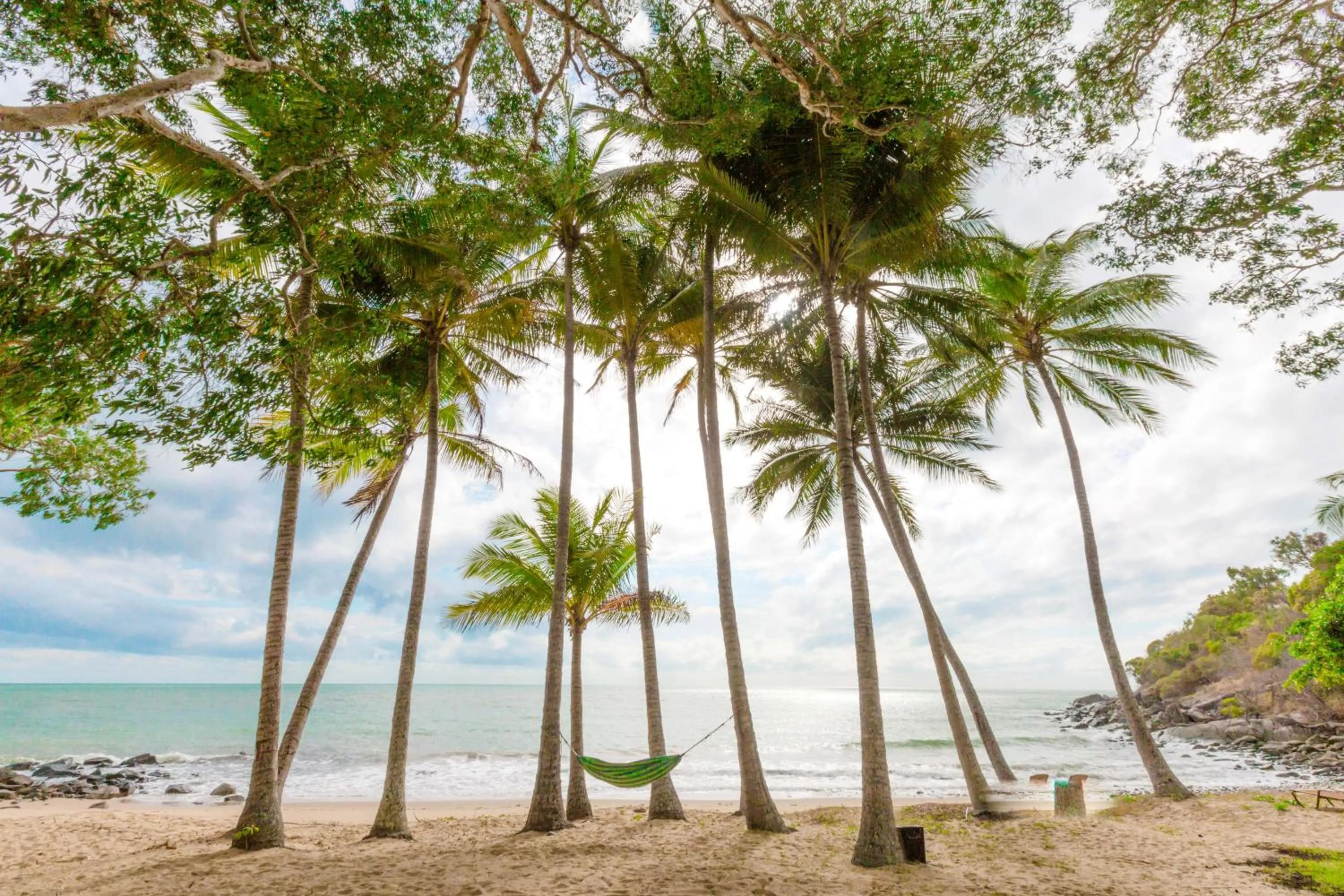 Natural landscape in Turtle Cove Beach Resort - Adults Only LGBTQIA & Allies