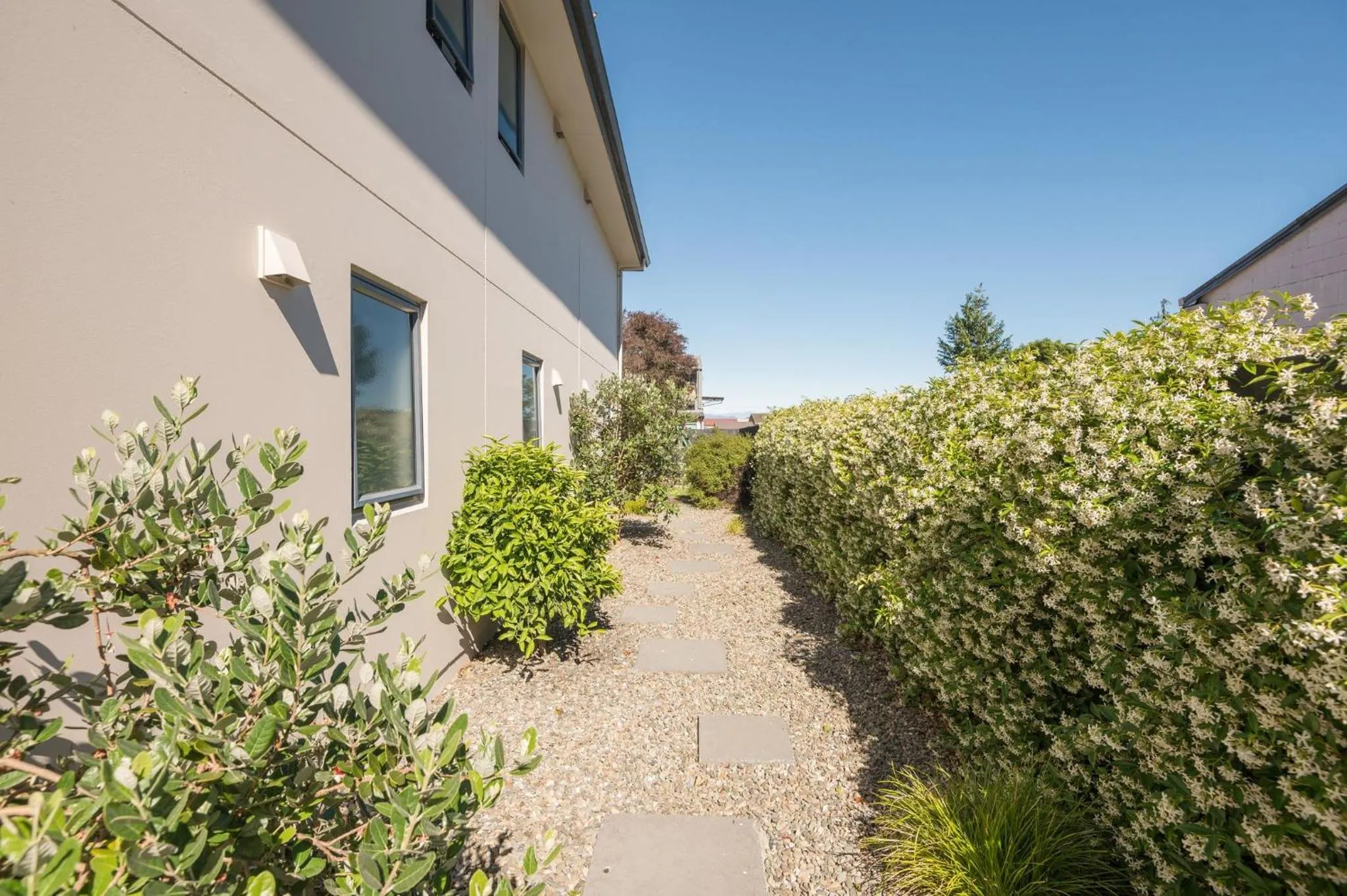 Day in Bella Vista Nelson