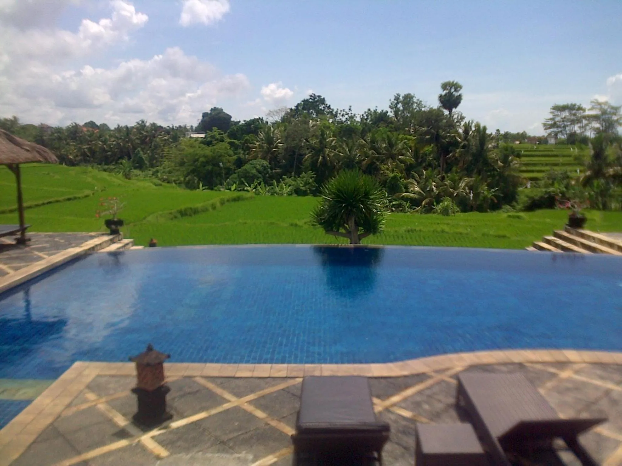 Swimming pool in Bumi Ubud Resort