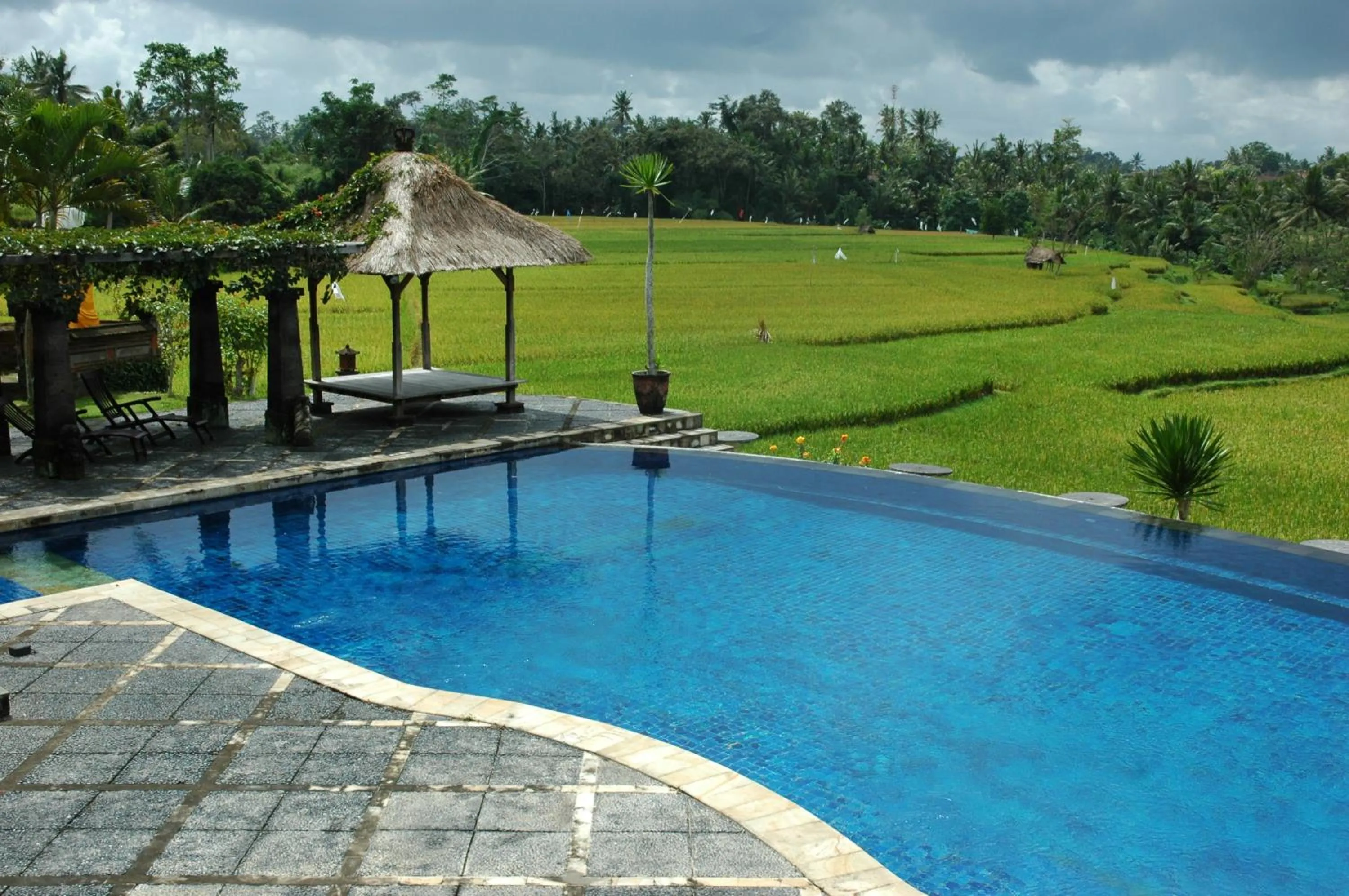 Swimming pool in Bumi Ubud Resort