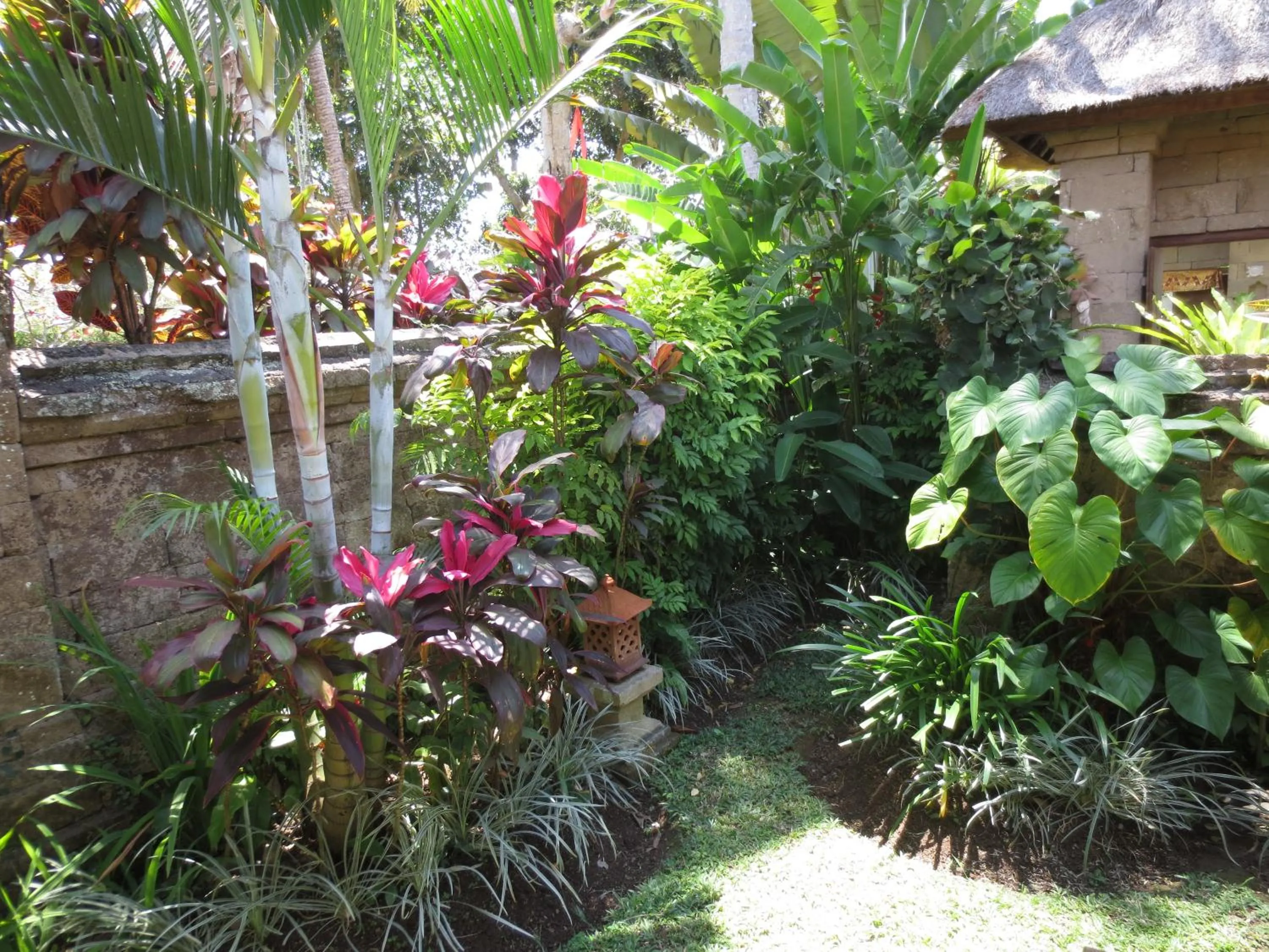 Garden in Bumi Ubud Resort